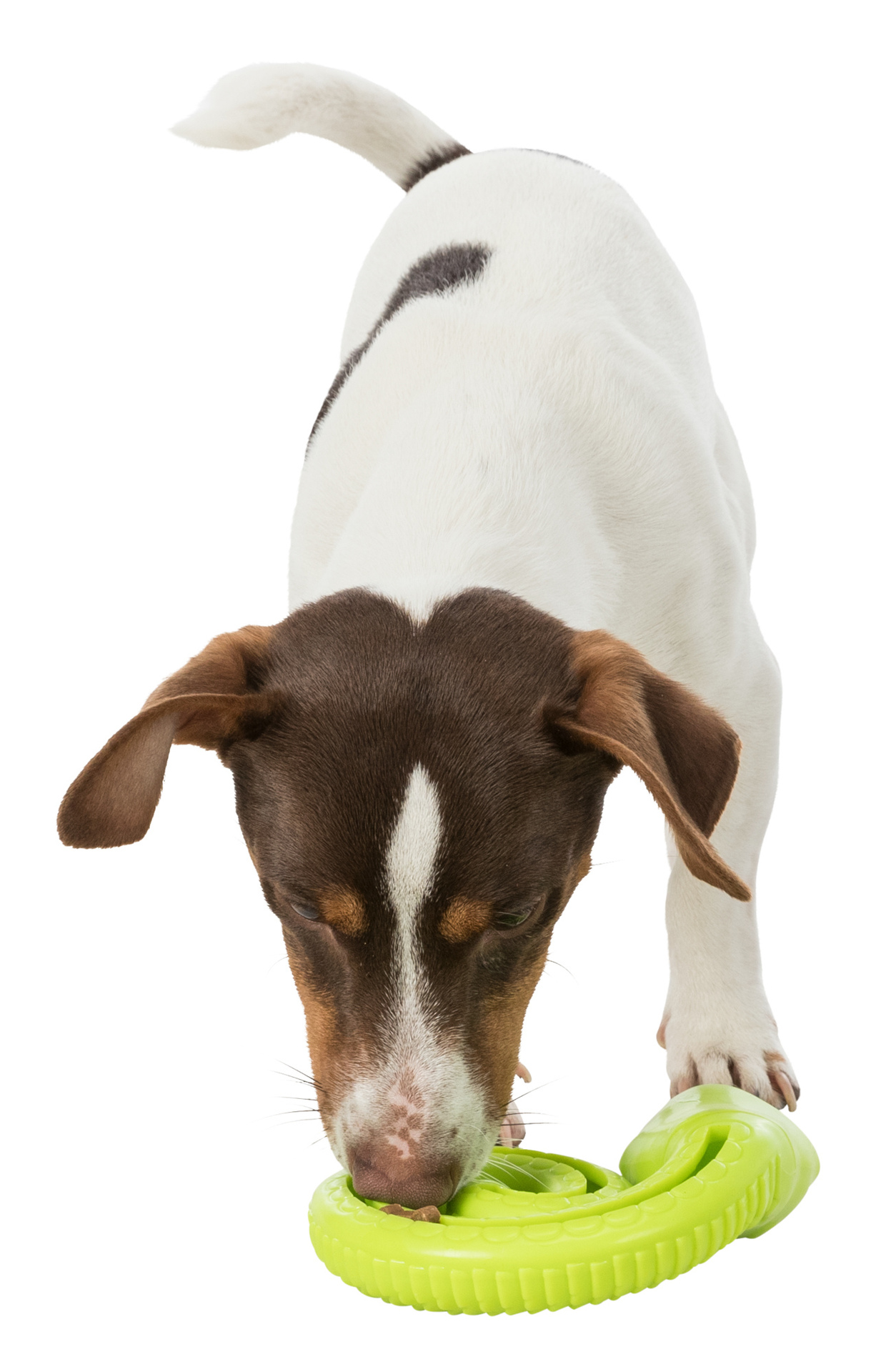 Snack-Snake Ø18cm bei leitermann.de günstig kaufen Snack-Snake Ø18cm
