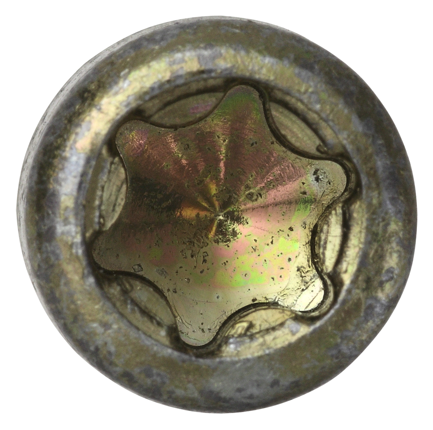 Holzschraube mit Zylinderkopf gelb verzinkt