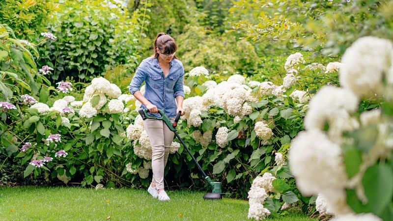 Akku-Rasentrimmer EasyGrassCut 18V-230 bei leitermann.de günstig kaufen Akku-Rasentrimmer EasyGrassCut 18V-230