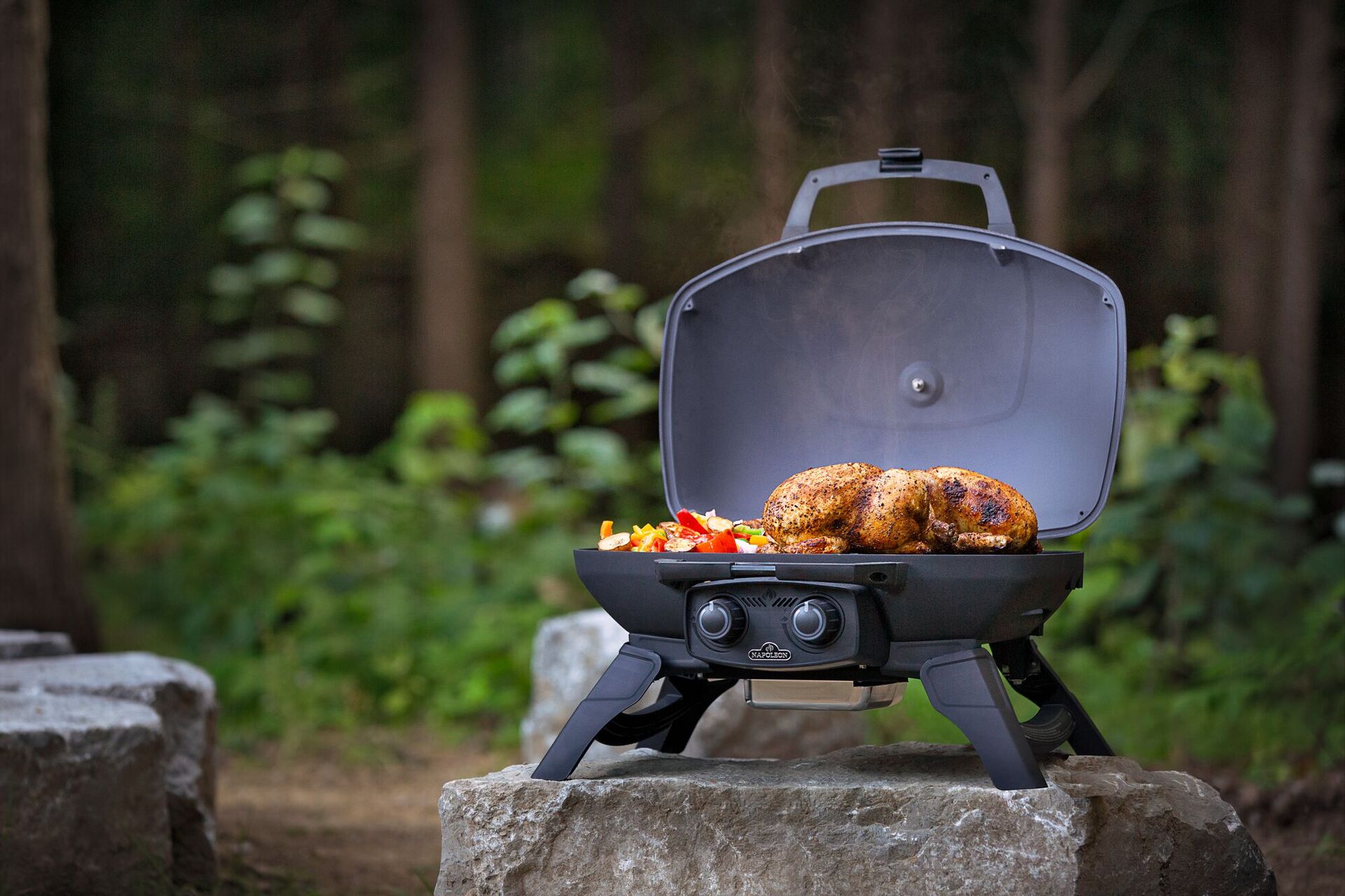Gasgrill TravelQ 285 bei leitermann.de günstig kaufen Gasgrill TravelQ 285