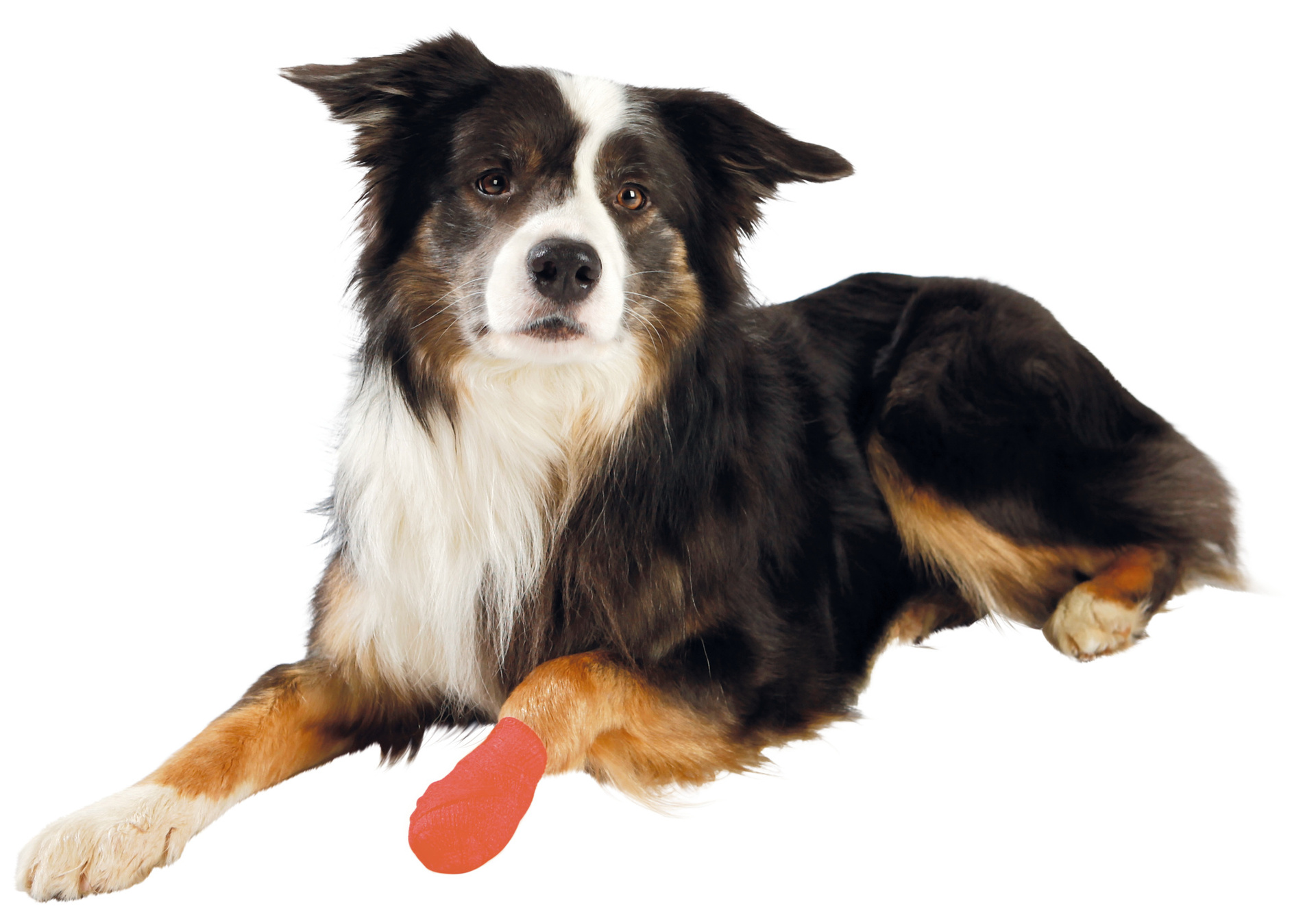 Bitterstoff-Bandagen