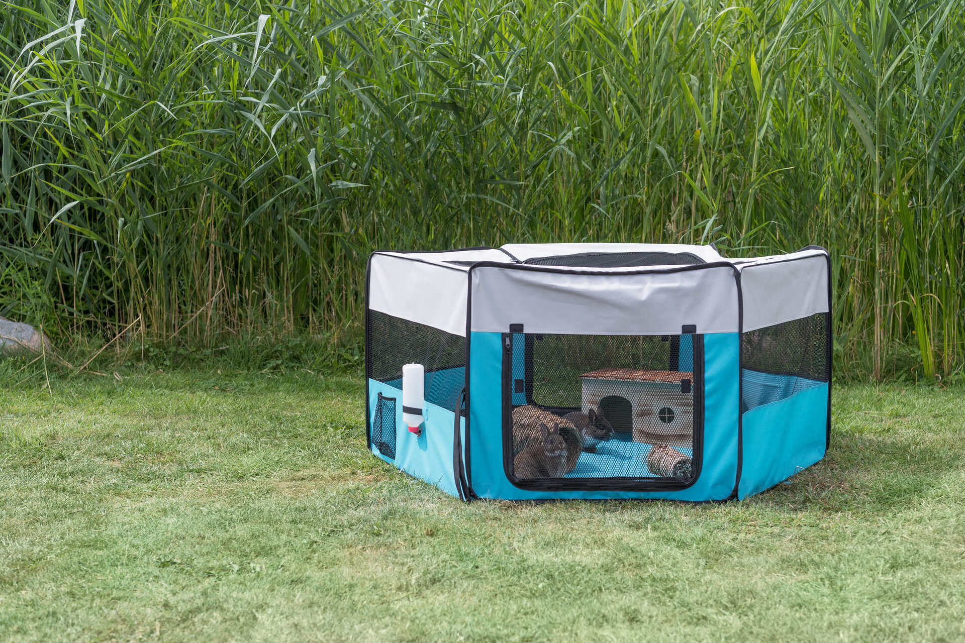 Welpenfreilauf bei leitermann.de günstig kaufen Welpenfreilauf