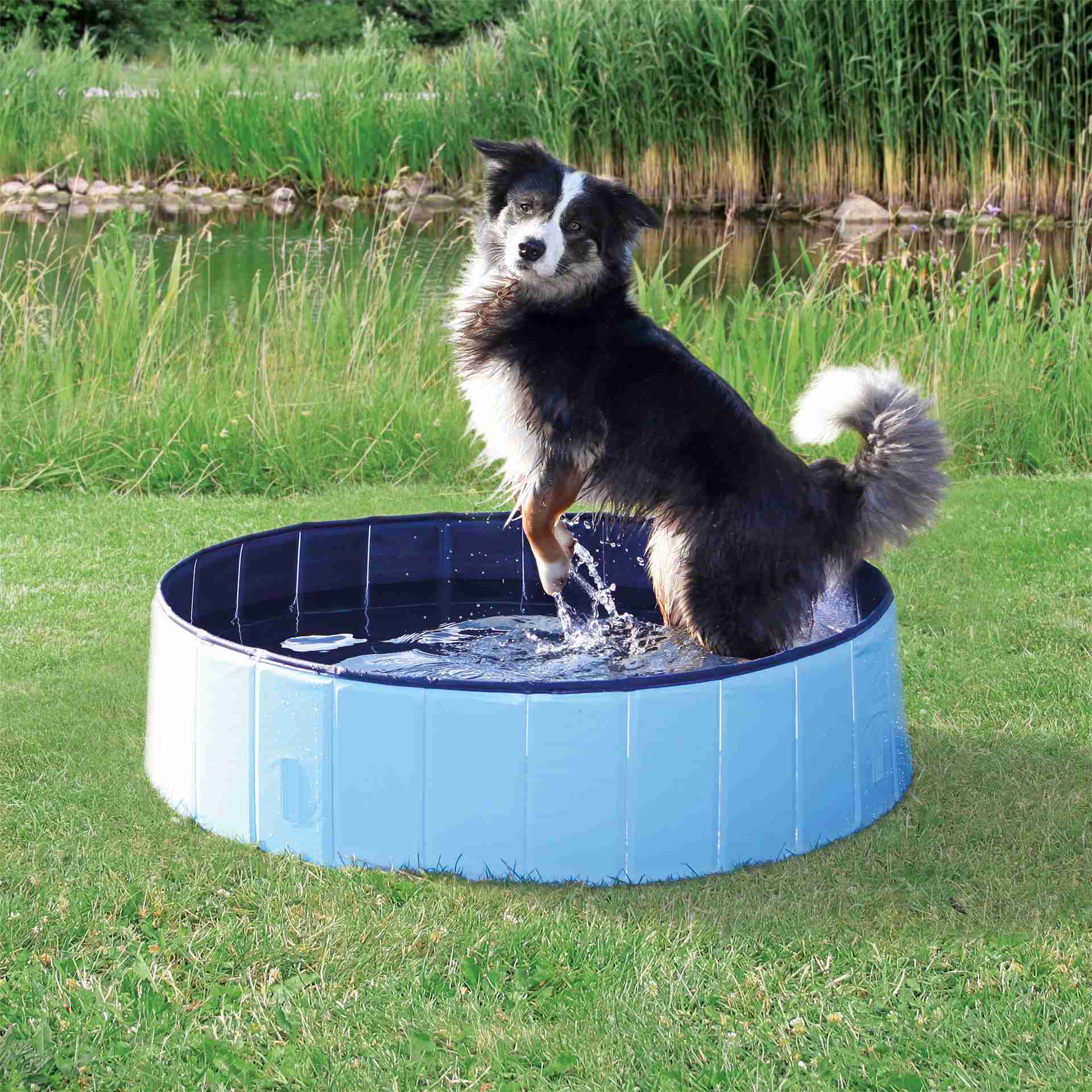 Hundepool bei leitermann.de günstig kaufen Hundepool