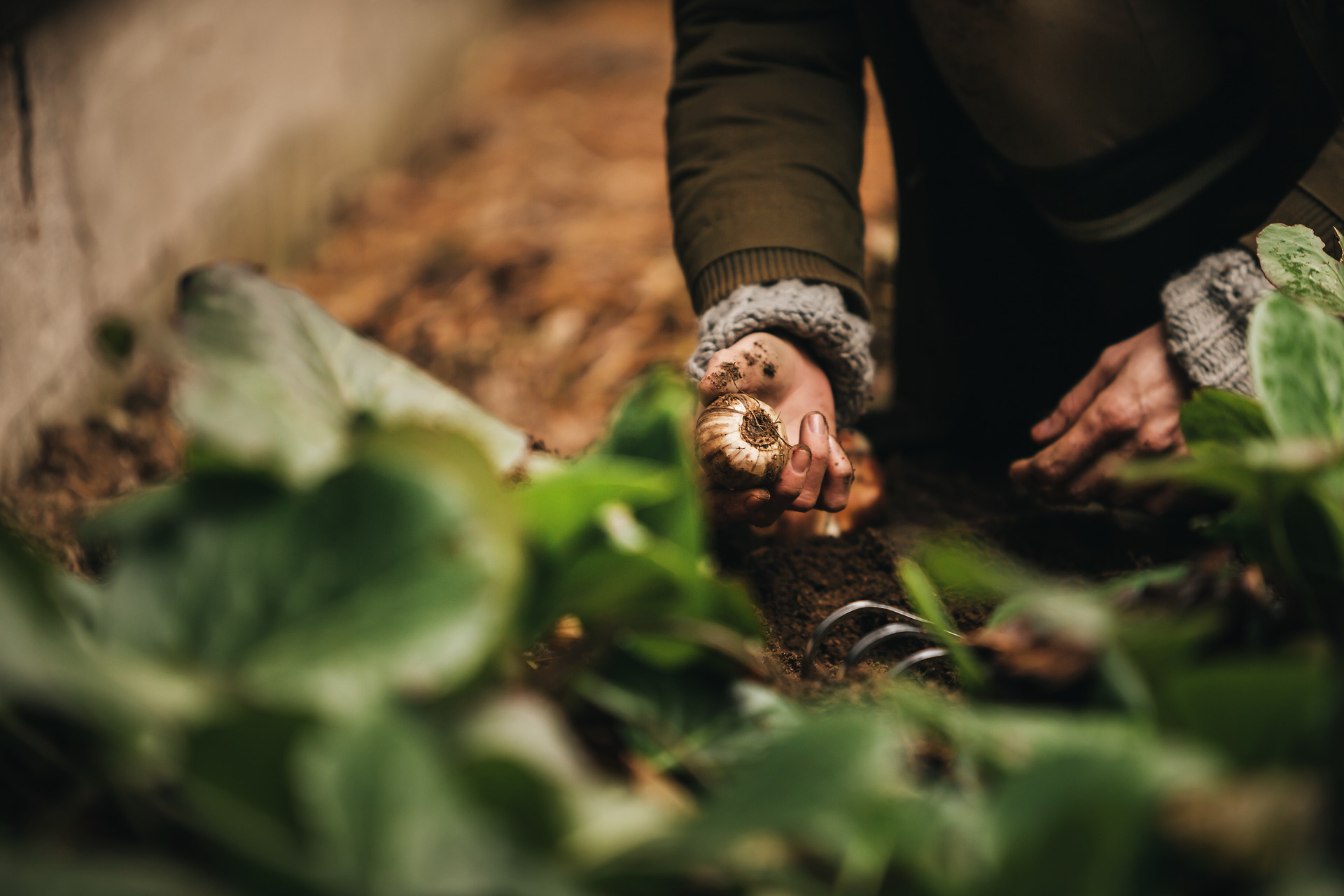 Xact Hand-Fächerbesen