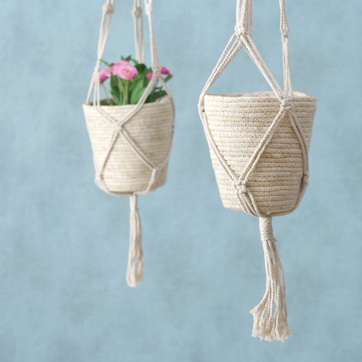 Pflanzkorb Riseva bei leitermann.de günstig kaufen Pflanzkorb Riseva