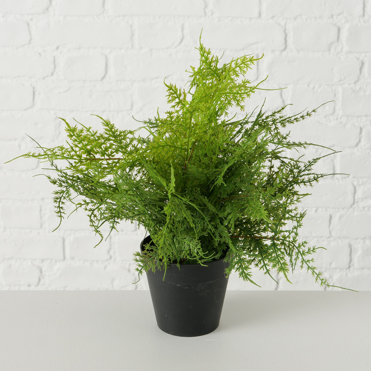 Topfpflanze 2-fach sortiert bei leitermann.de günstig kaufen Topfpflanze 2-fach sortiert