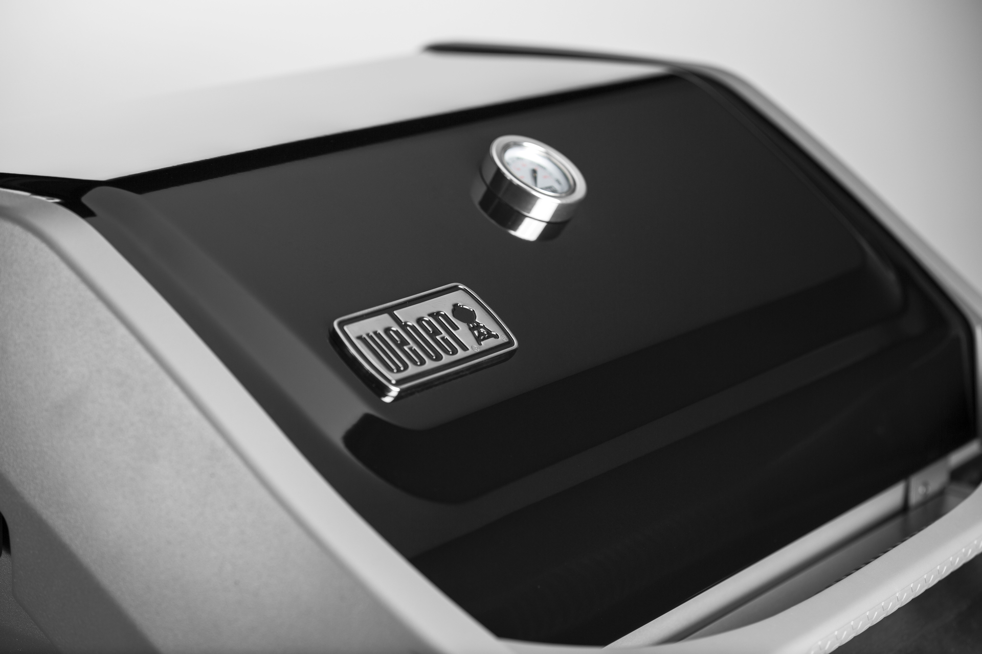 Spirit II E-320 GBS bei leitermann.de günstig kaufen Spirit II E-320 GBS