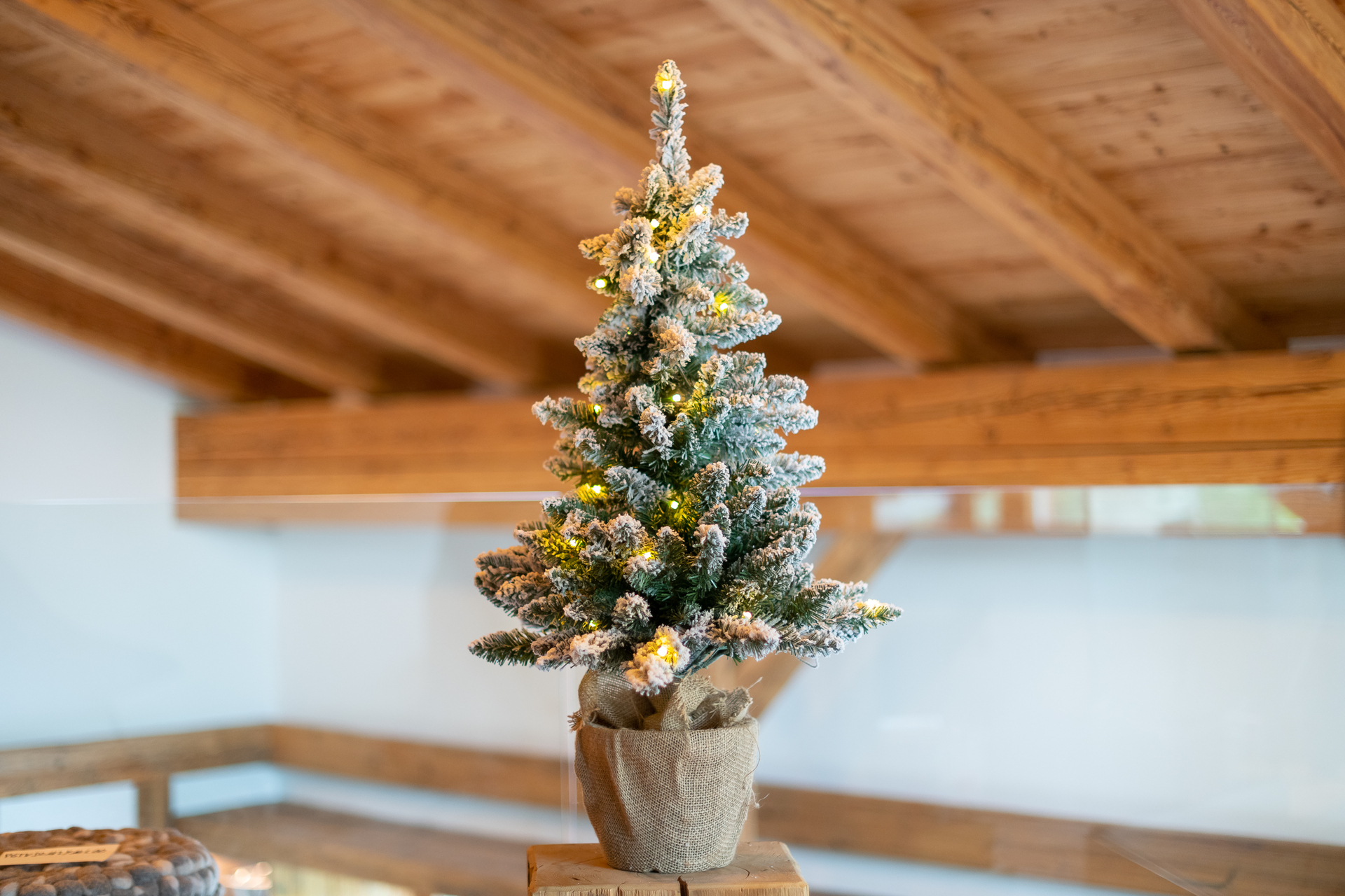 Weihnachtsbaum Kiefer inkl. Lichterkette 90 cm