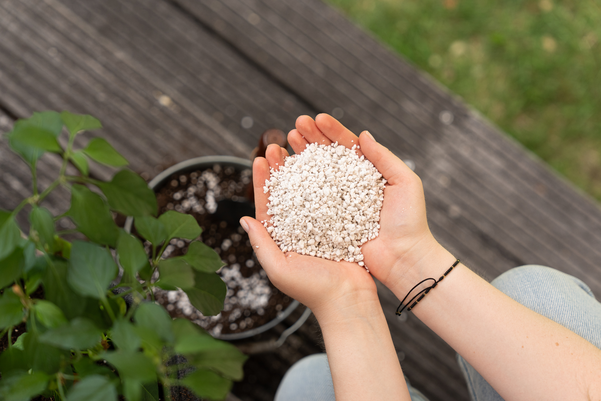 Floragard Perlite
