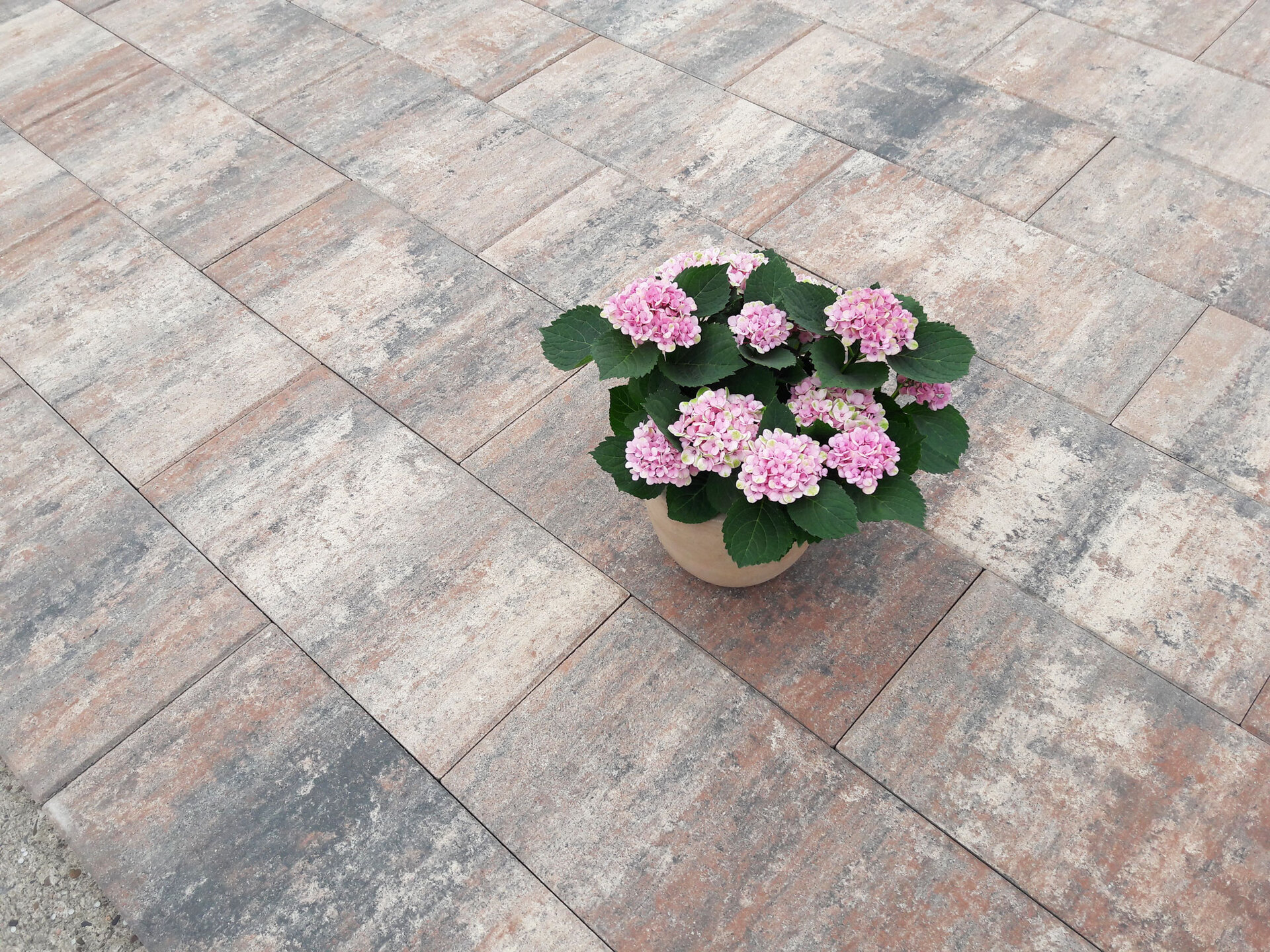 Terrassenplatte Figuera