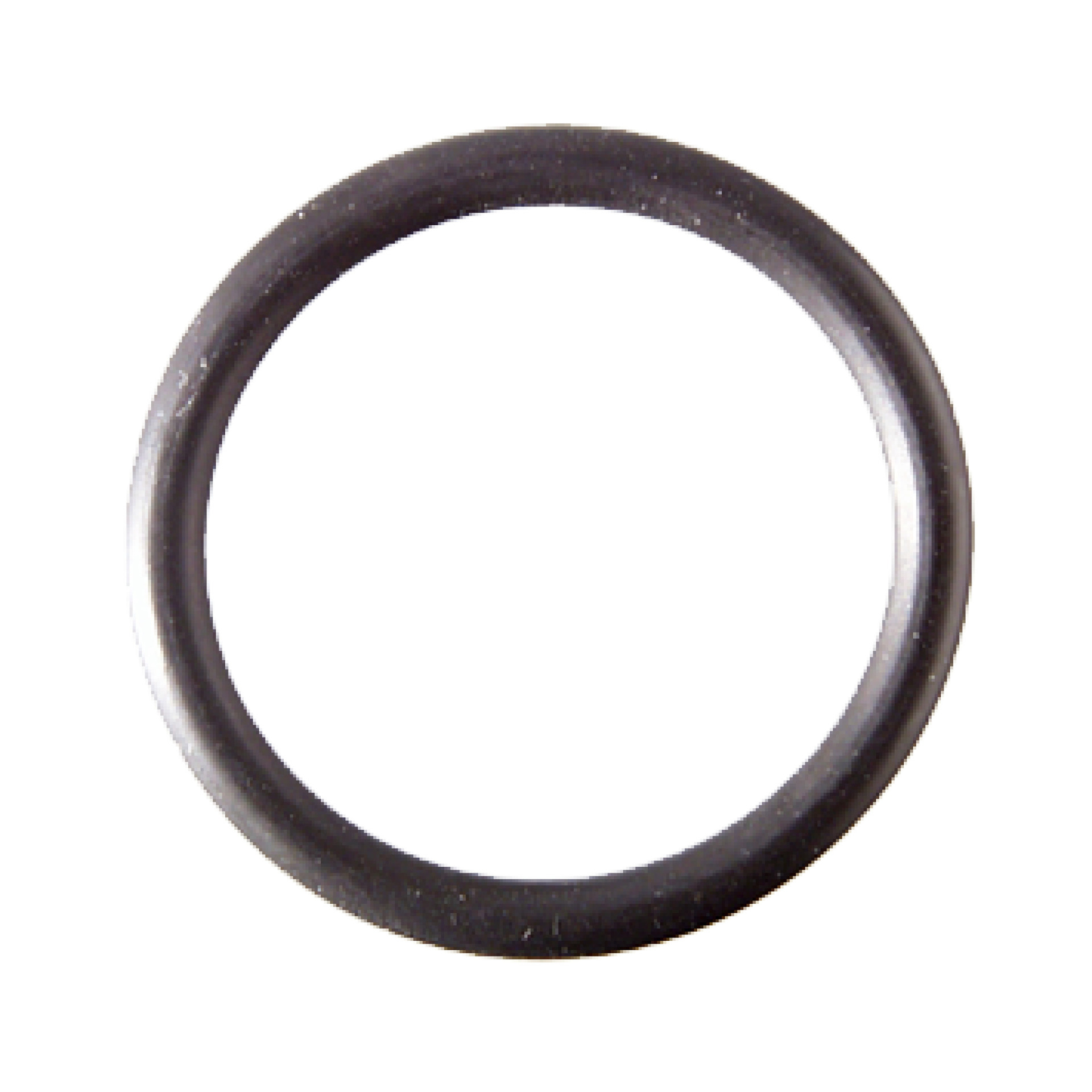 O-Ring für Flexschläuche M10 2 Stück