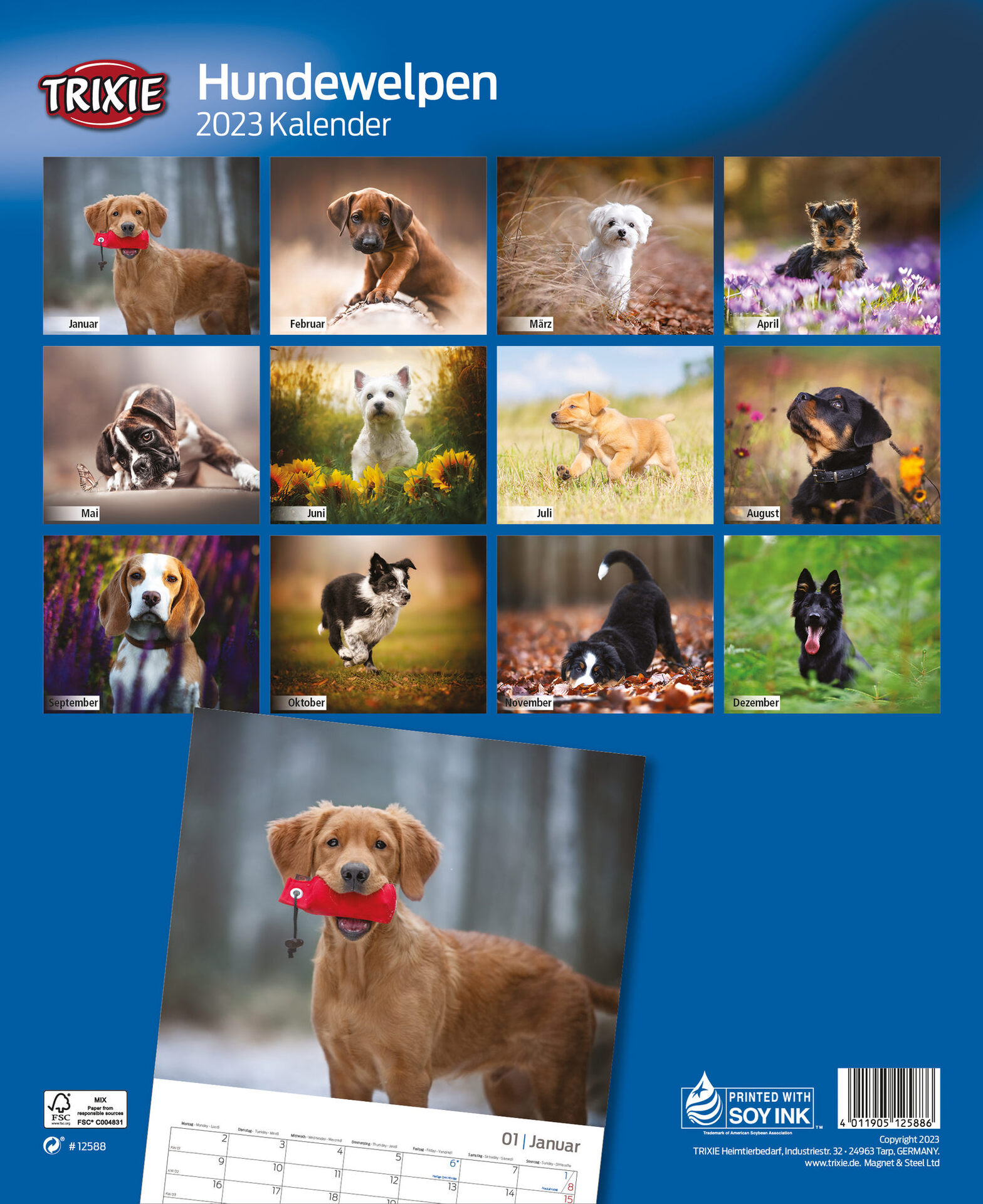 Kalender Hundewelpen