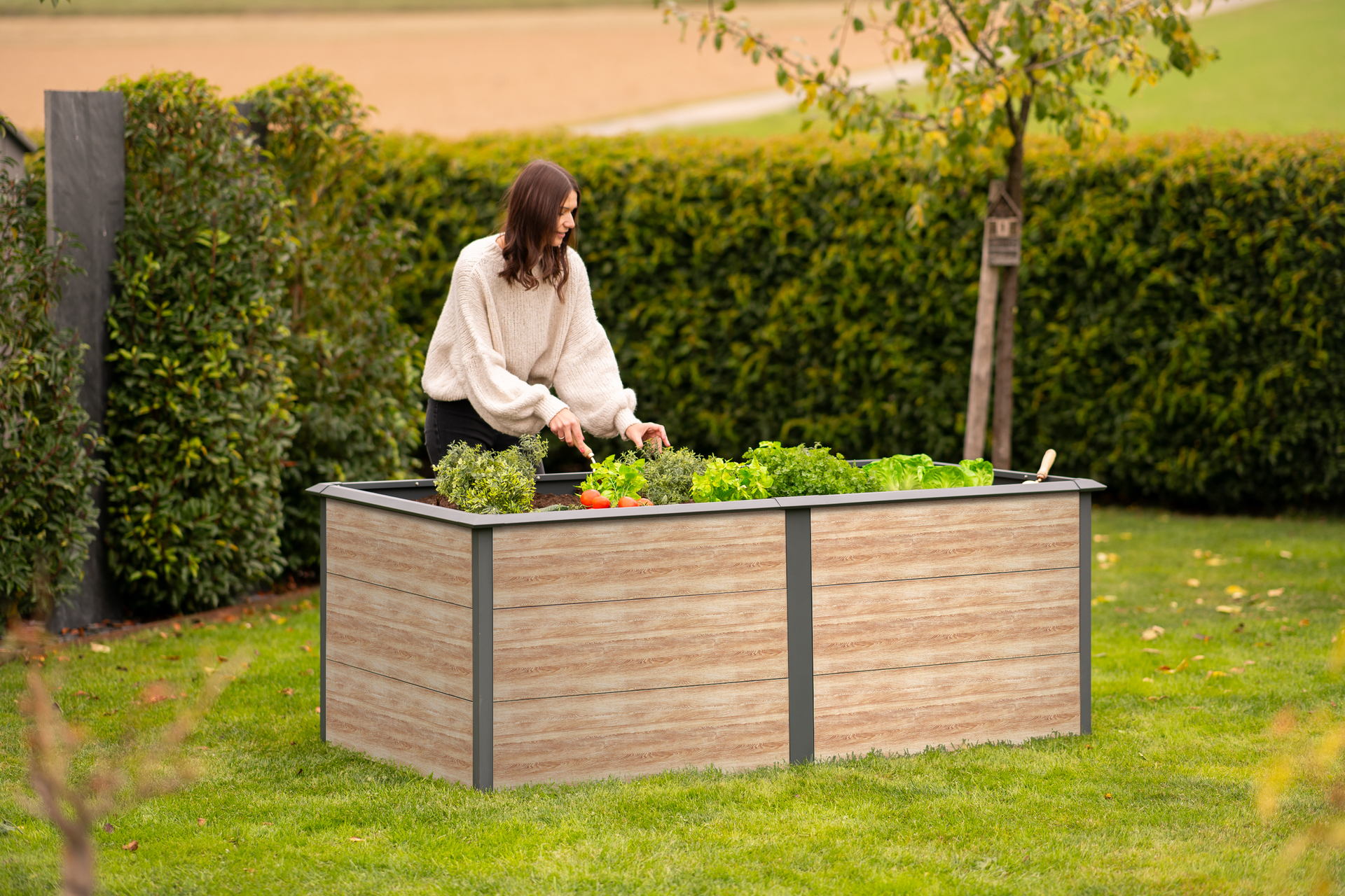 Hochbeet Primus-Multi XL bei leitermann.de günstig kaufen Hochbeet Primus-Multi XL