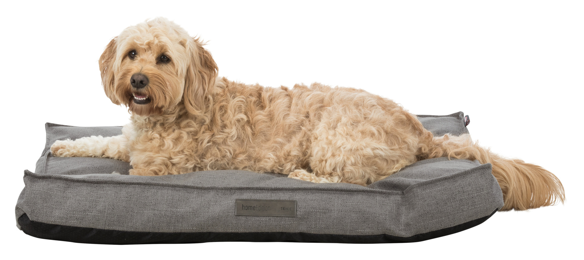 Kissen Talis bei leitermann.de günstig kaufen Kissen Talis