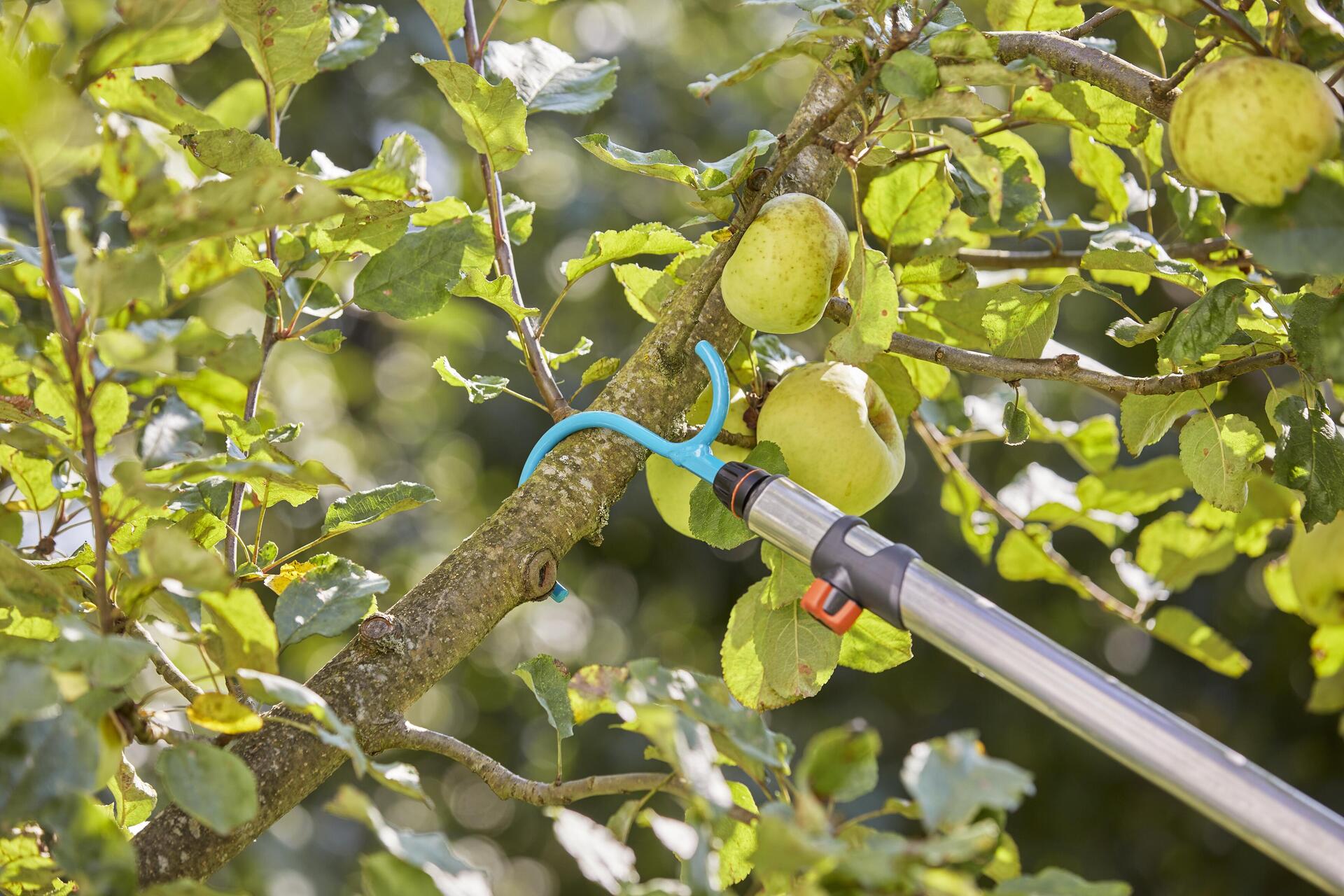 combisystem-Asthaken bei leitermann.de günstig kaufen combisystem-Asthaken