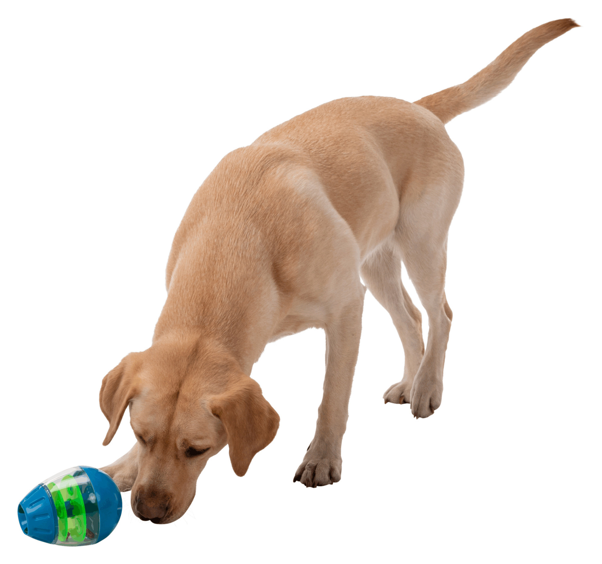 Steh-Auf-Snack-Ei Kunststoff 13cm bei leitermann.de günstig kaufen Steh-Auf-Snack-Ei Kunststoff 13cm