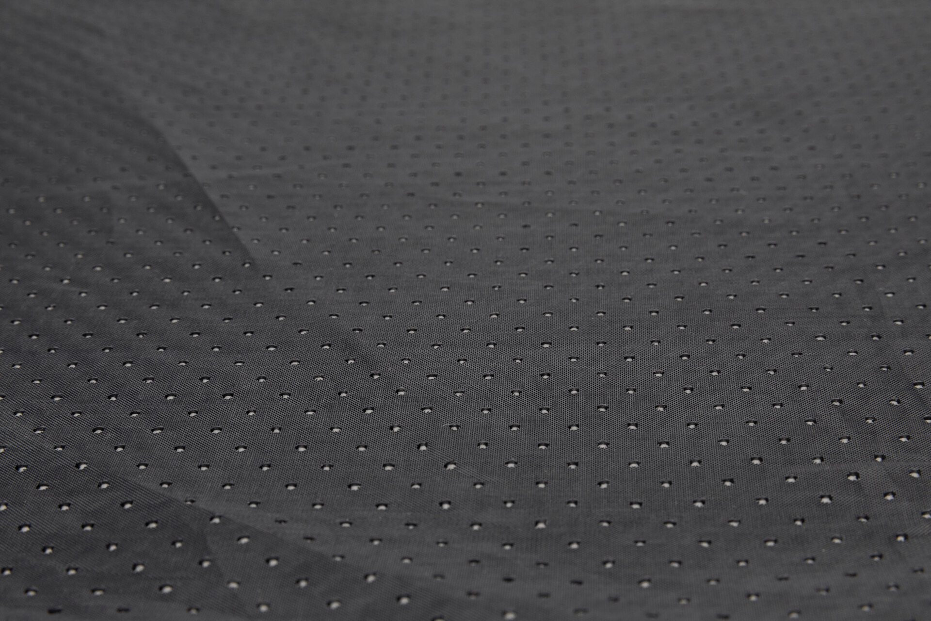 Strategie-Spiel Schnüffelteppich bei leitermann.de günstig kaufen Strategie-Spiel Schnüffelteppich