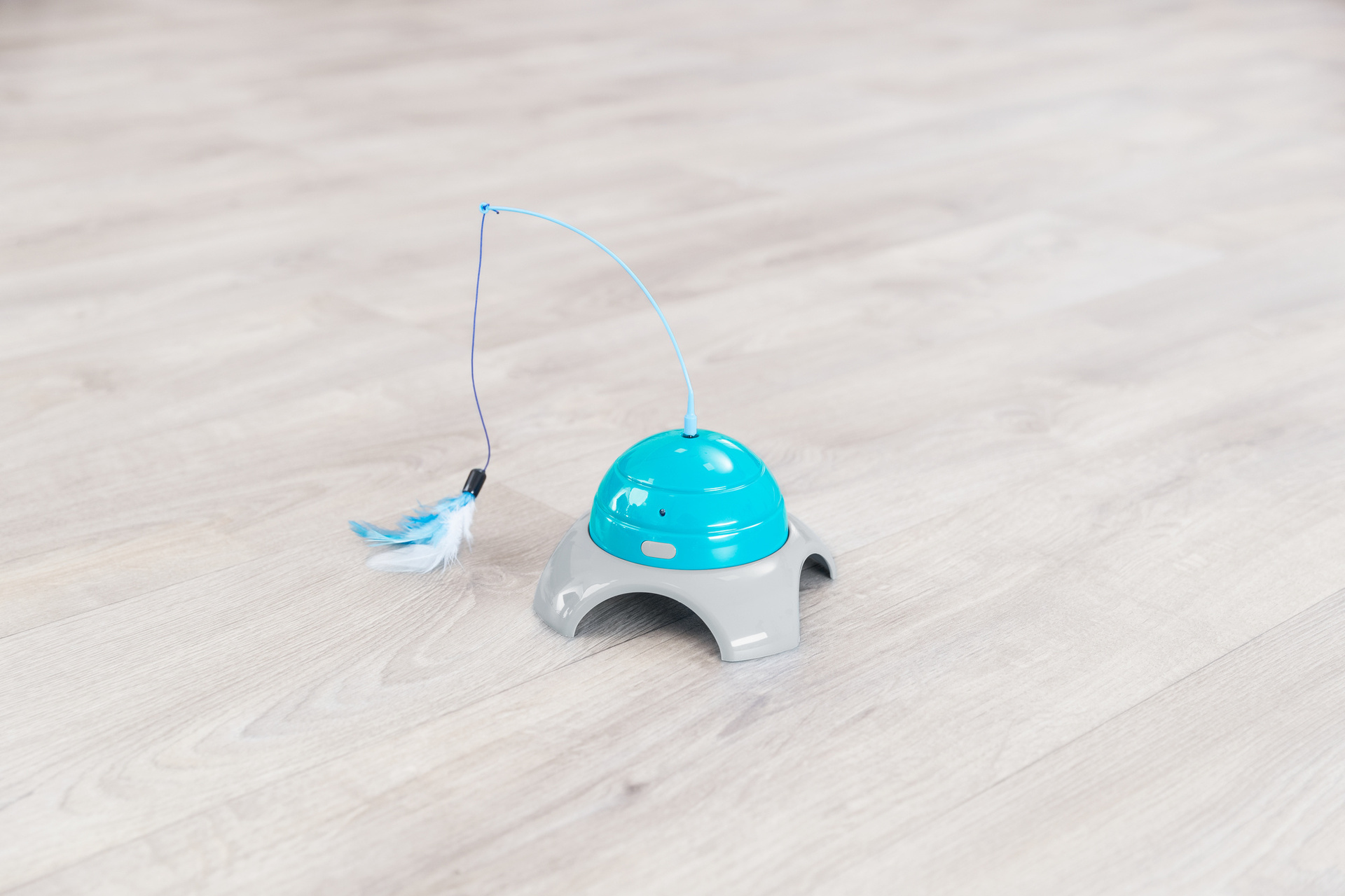 Catch Me mit Fernbedienung bei leitermann.de günstig kaufen Catch Me mit Fernbedienung