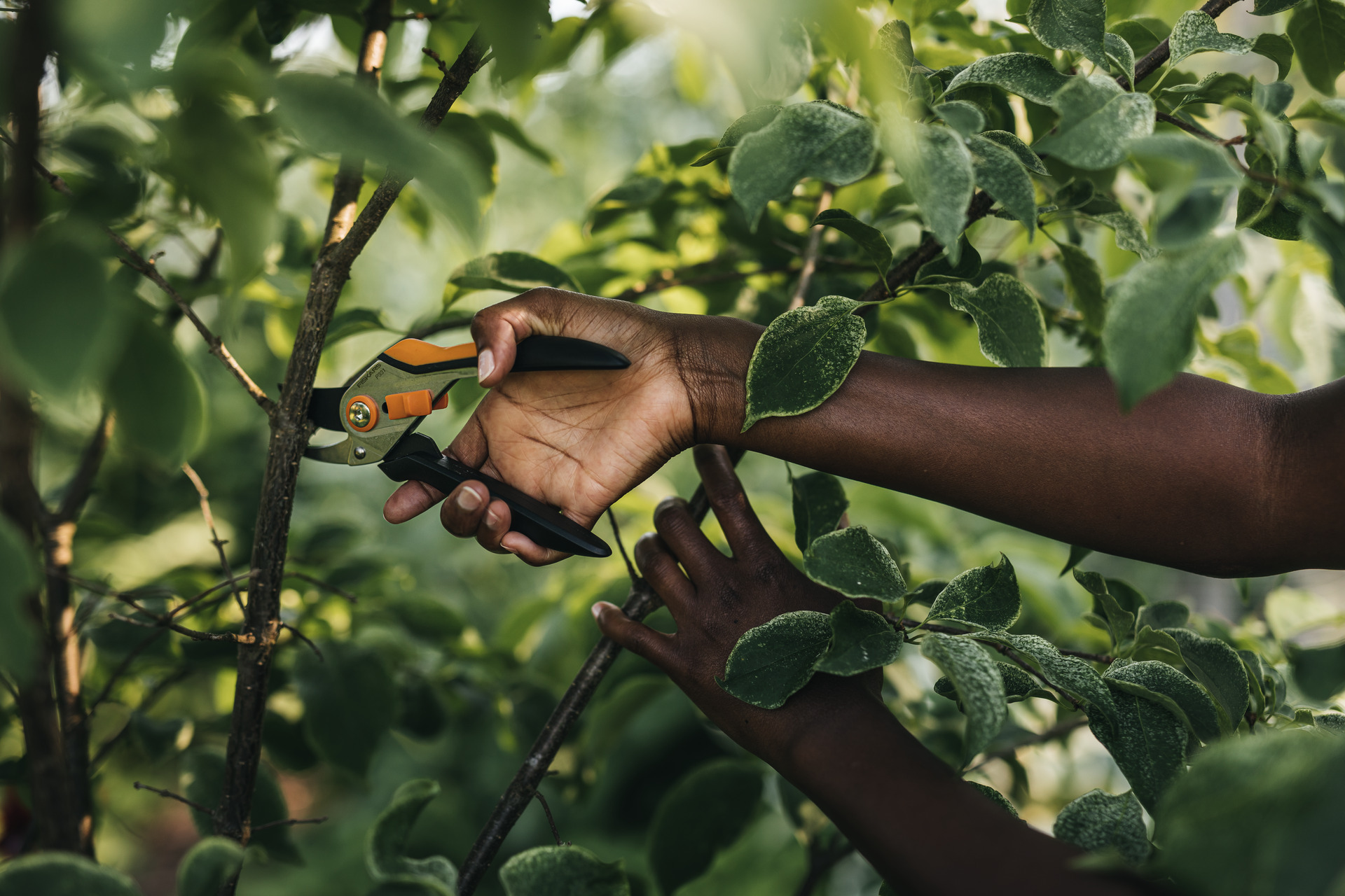 Solid Metall Bypass-Gartenschere P331 bei leitermann.de günstig kaufen Solid Metall Bypass-Gartenschere P331