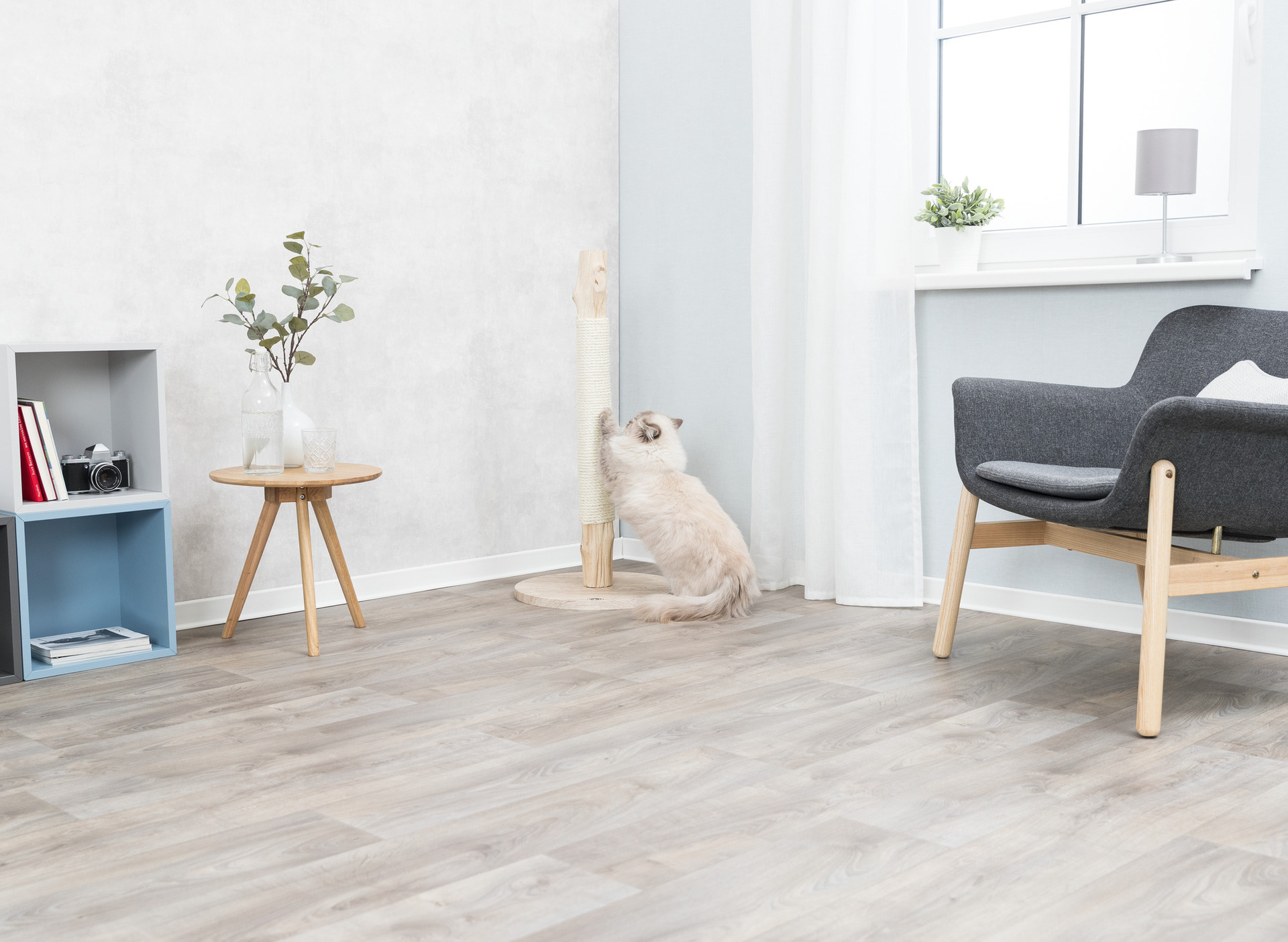 Kratzstamm, Naturholz