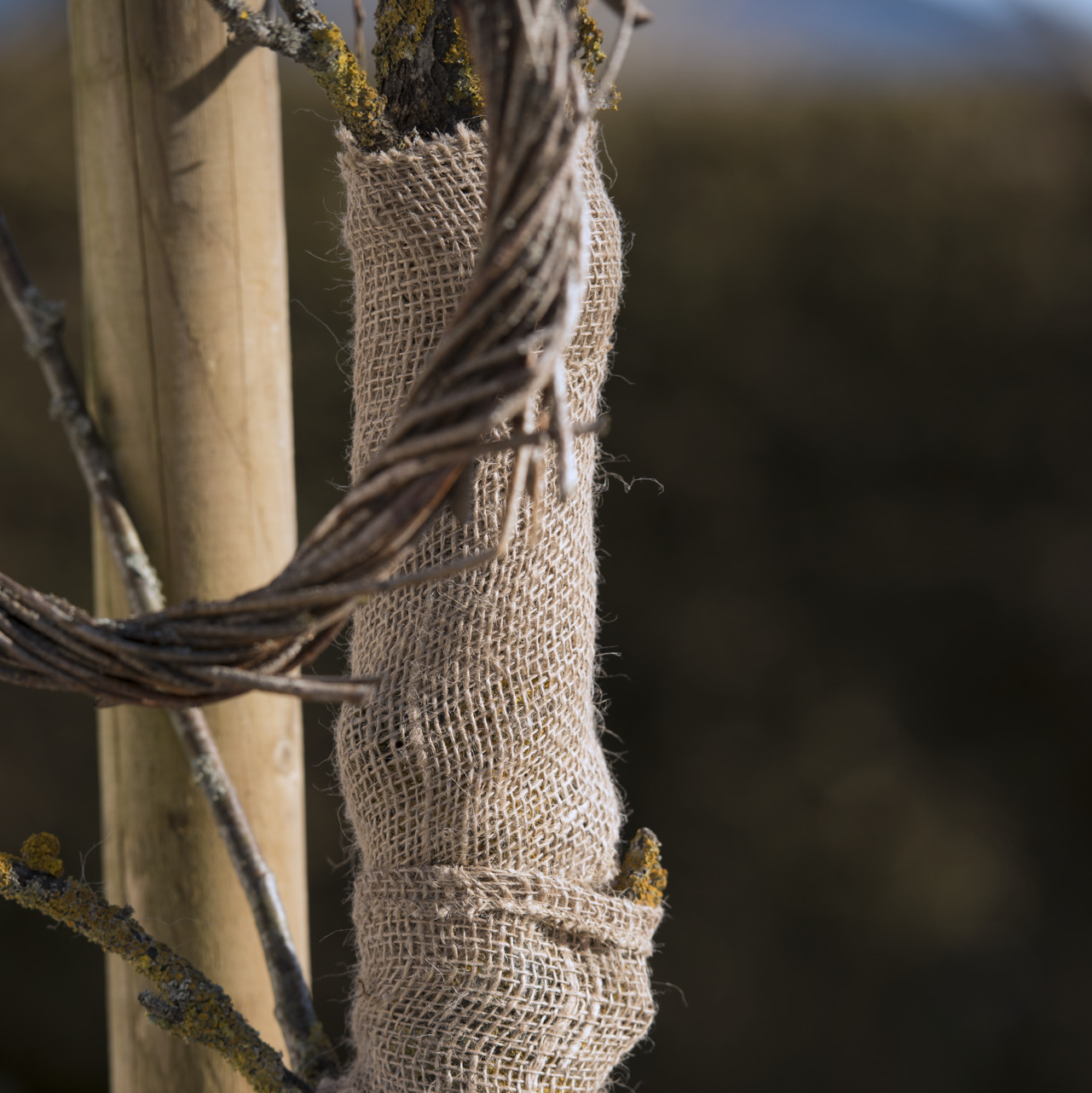 Jute-Wickelstreifen bei leitermann.de günstig kaufen Jute-Wickelstreifen