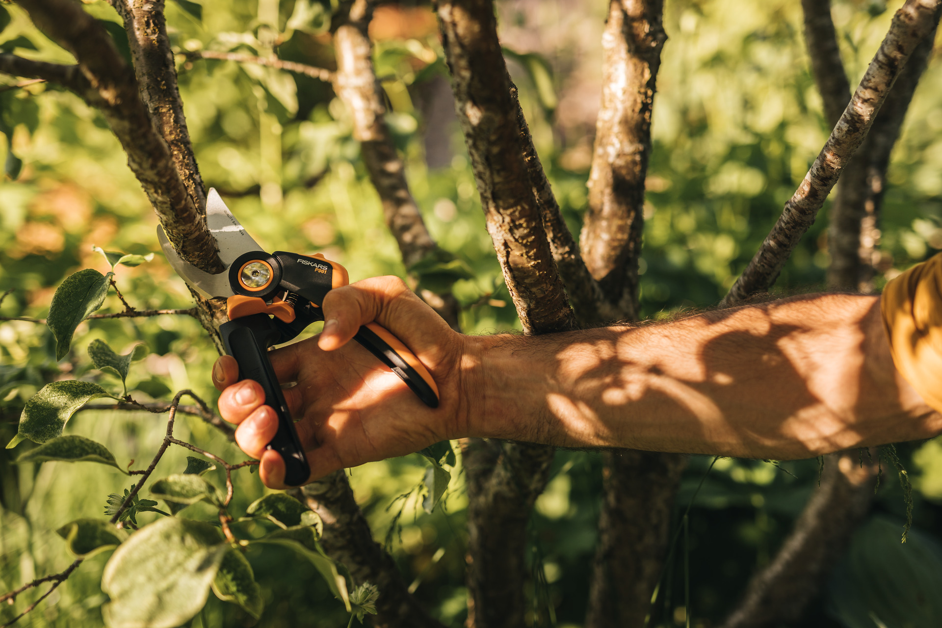 X-series Bypass-Rollgriff-Gartenschere L, P961