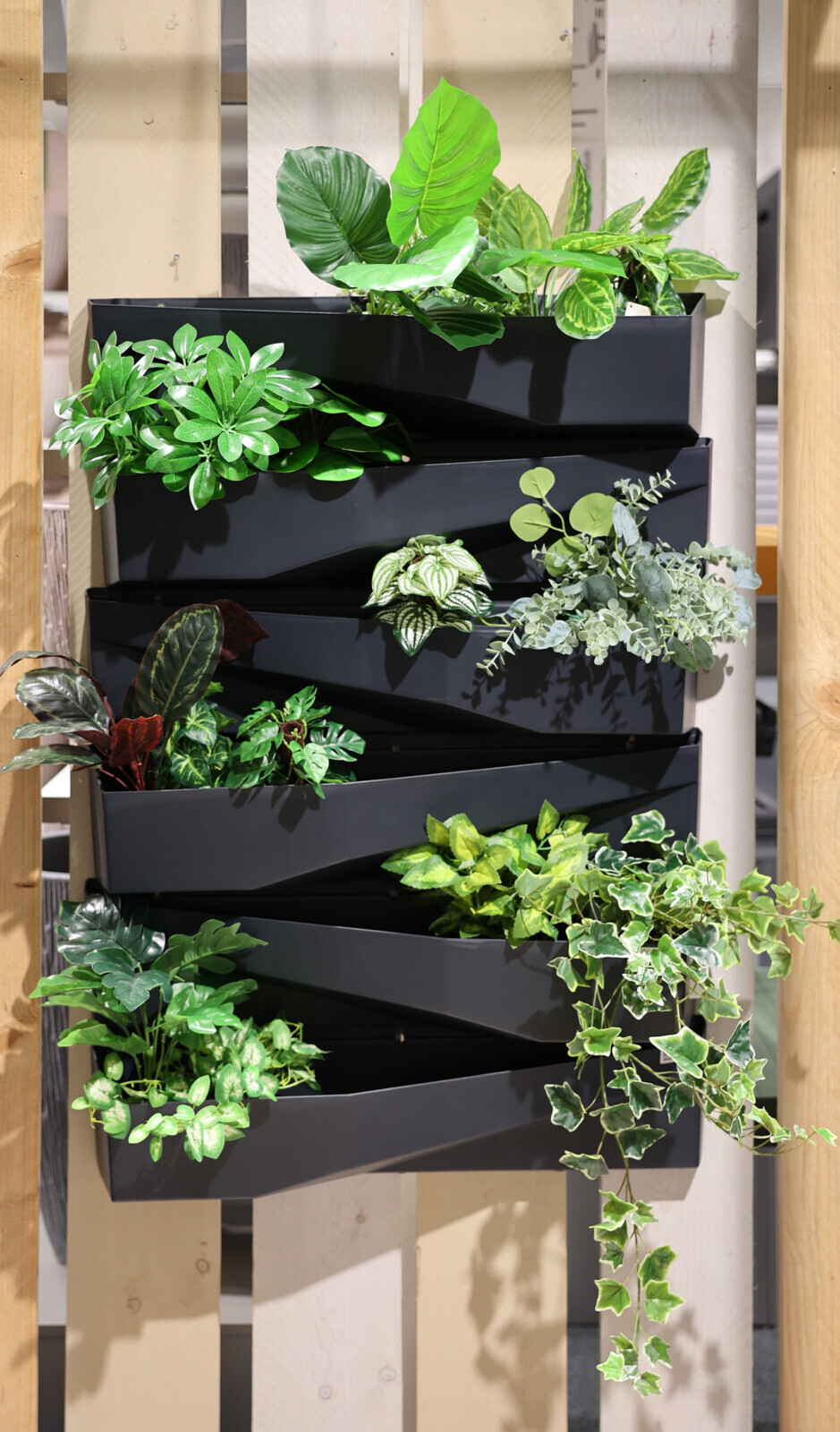 Pflanzgefäß für Wandbegrünung bei leitermann.de günstig kaufen Pflanzgefäß für Wandbegrünung