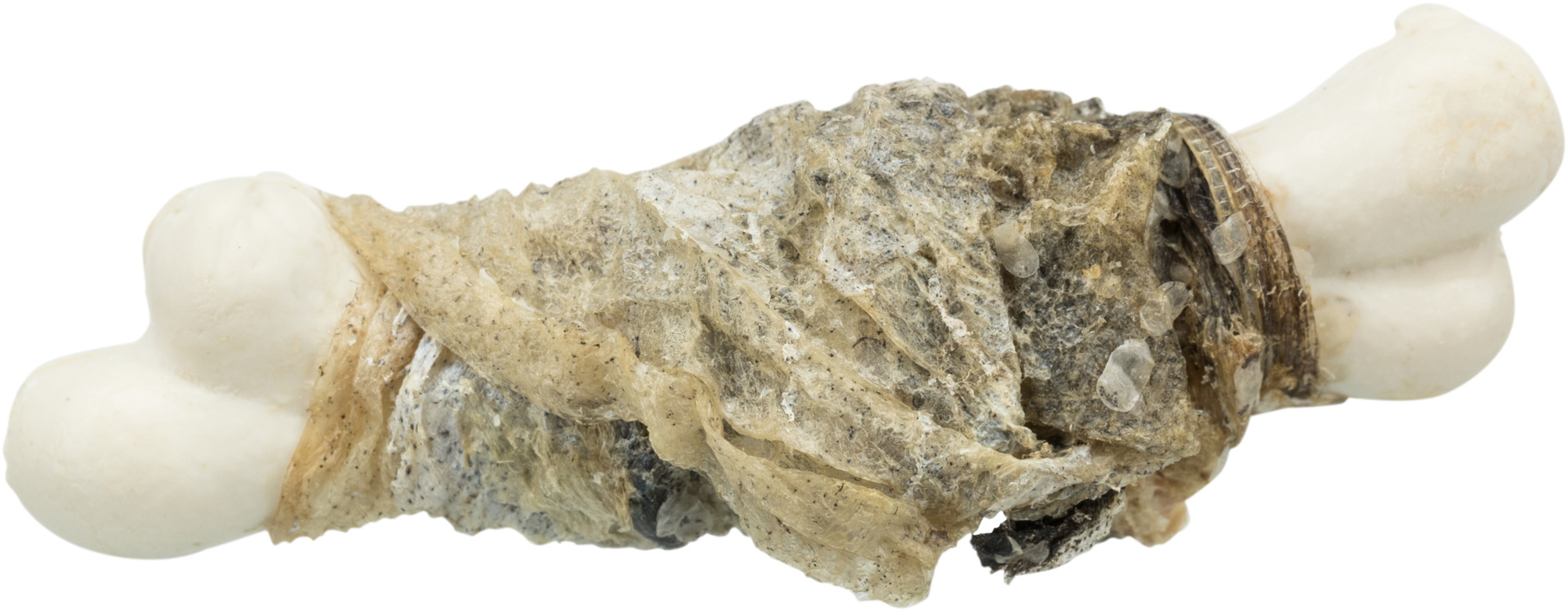 PREMIO Fishies bei leitermann.de günstig kaufen PREMIO Fishies