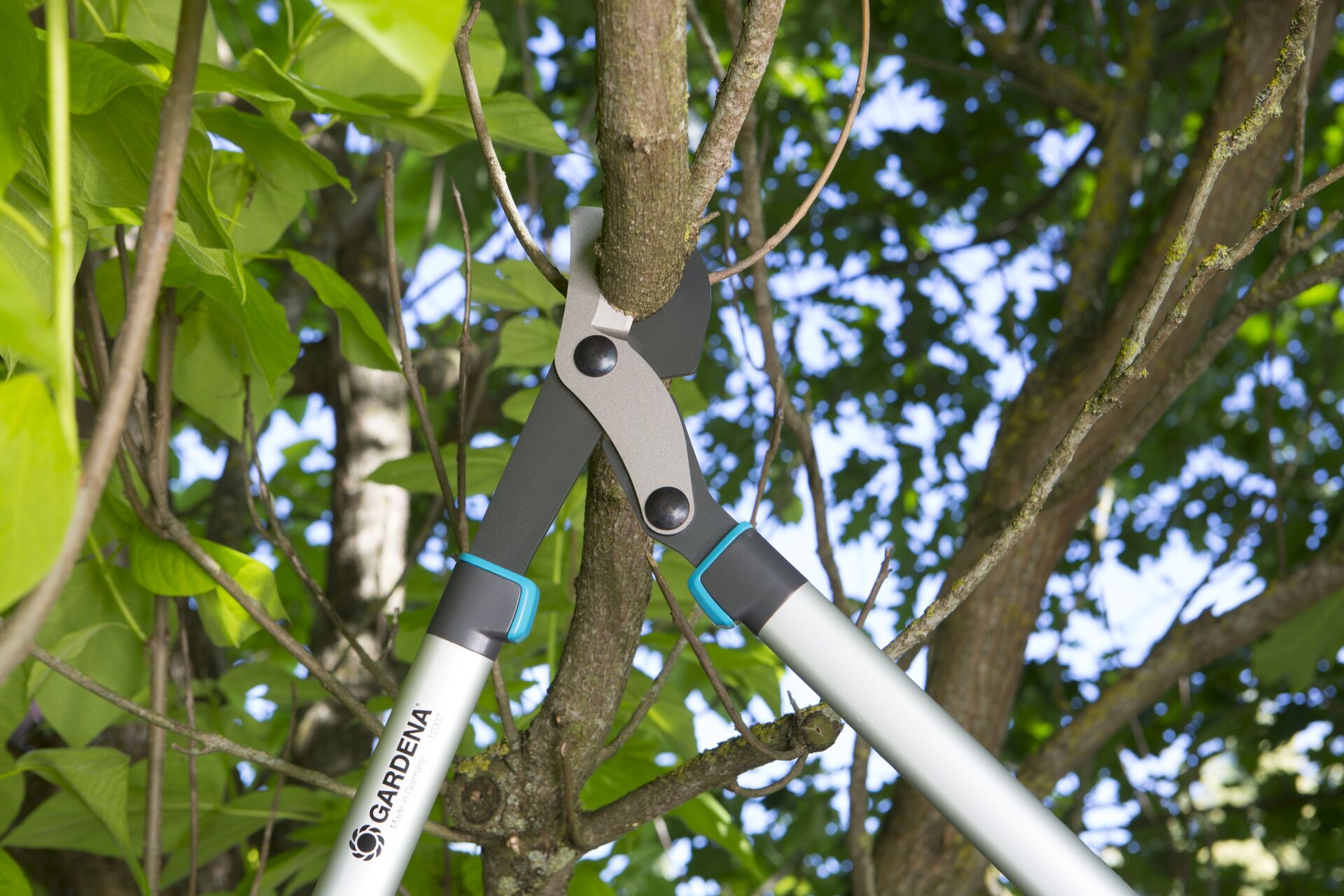 Astschere EnergyCut 750 B bei leitermann.de günstig kaufen Astschere EnergyCut 750 B