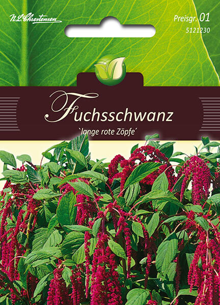 Amaranthus Fuchsschwanz rotblättrig