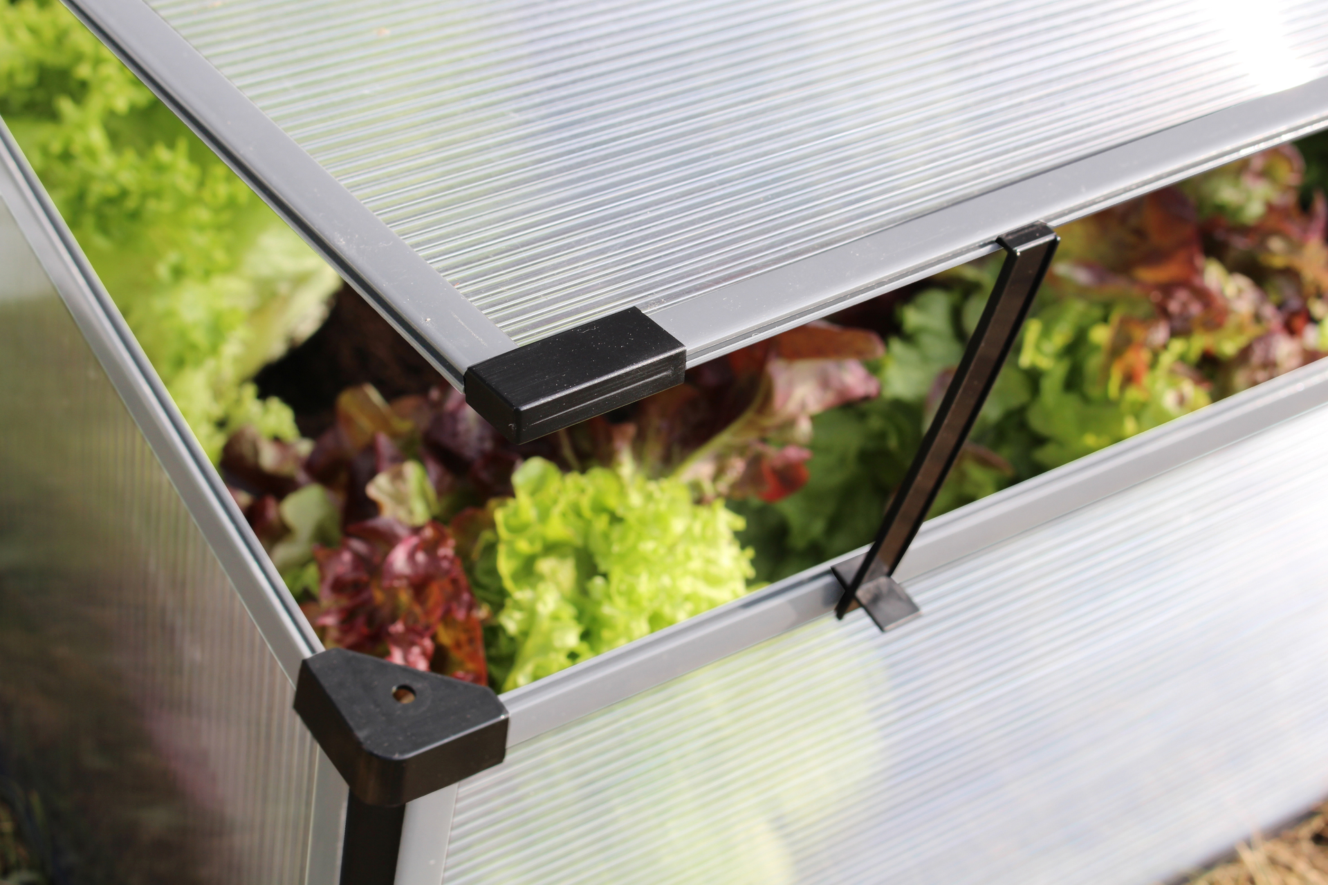 Frühbeet Levana 2 bei leitermann.de günstig kaufen Frühbeet Levana 2