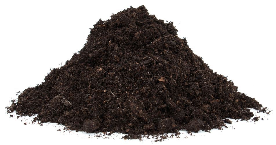 Floragard Aktiv-Pflanzenerde mit Langzeitdünger bei leitermann.de günstig kaufen Floragard Aktiv-Pflanzenerde mit Langzeitdünger