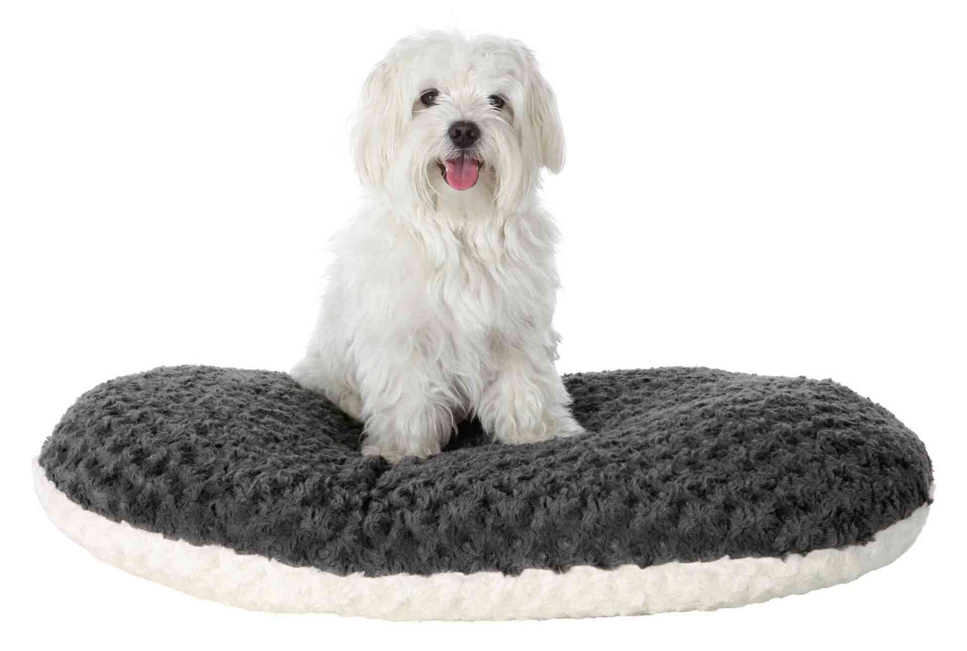 Kissen Kaline bei leitermann.de günstig kaufen Kissen Kaline