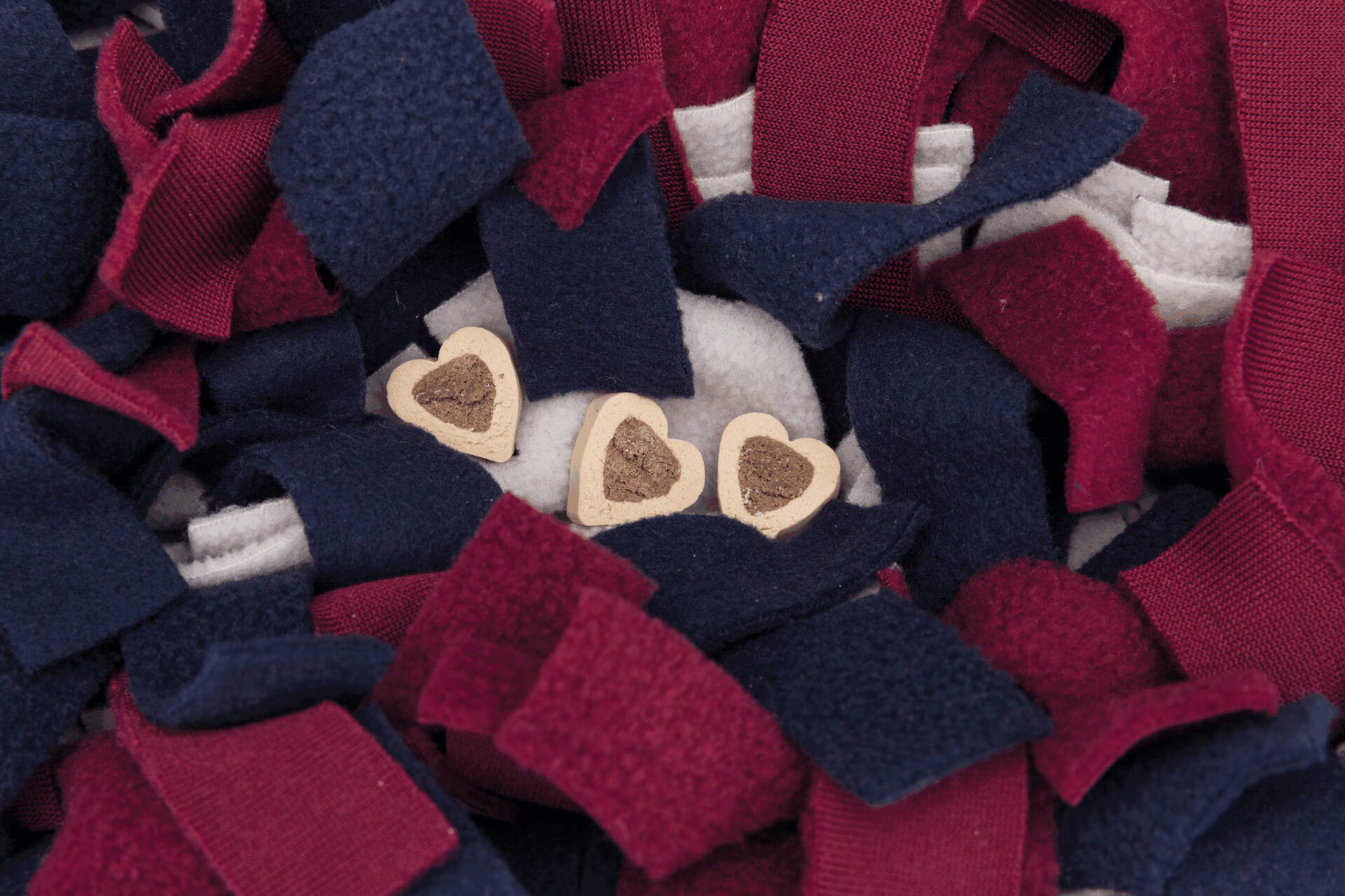 Strategie-Spiel Schnüffelteppich bei leitermann.de günstig kaufen Strategie-Spiel Schnüffelteppich