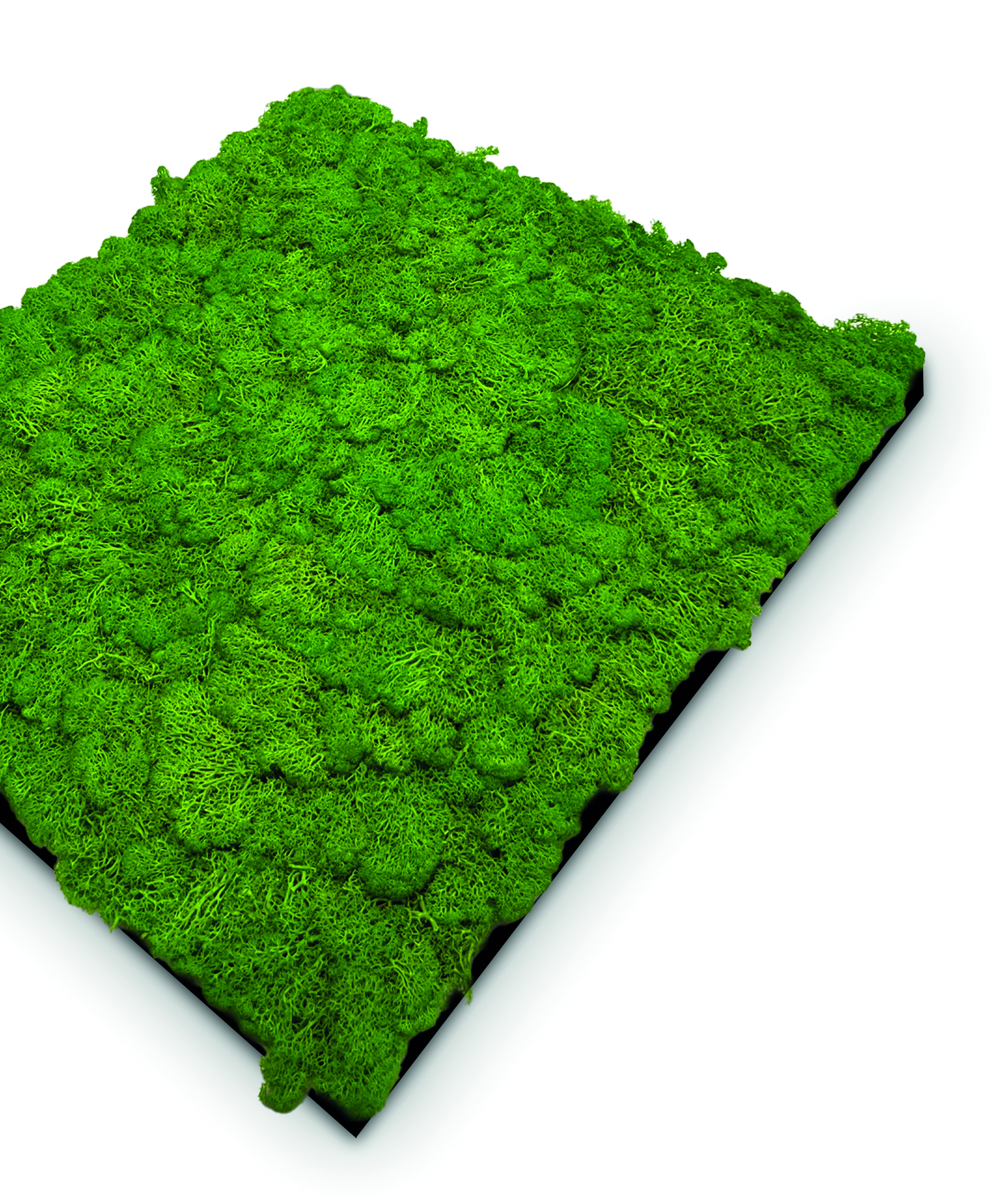 Wandpaneel Modular Wall Echtmoos