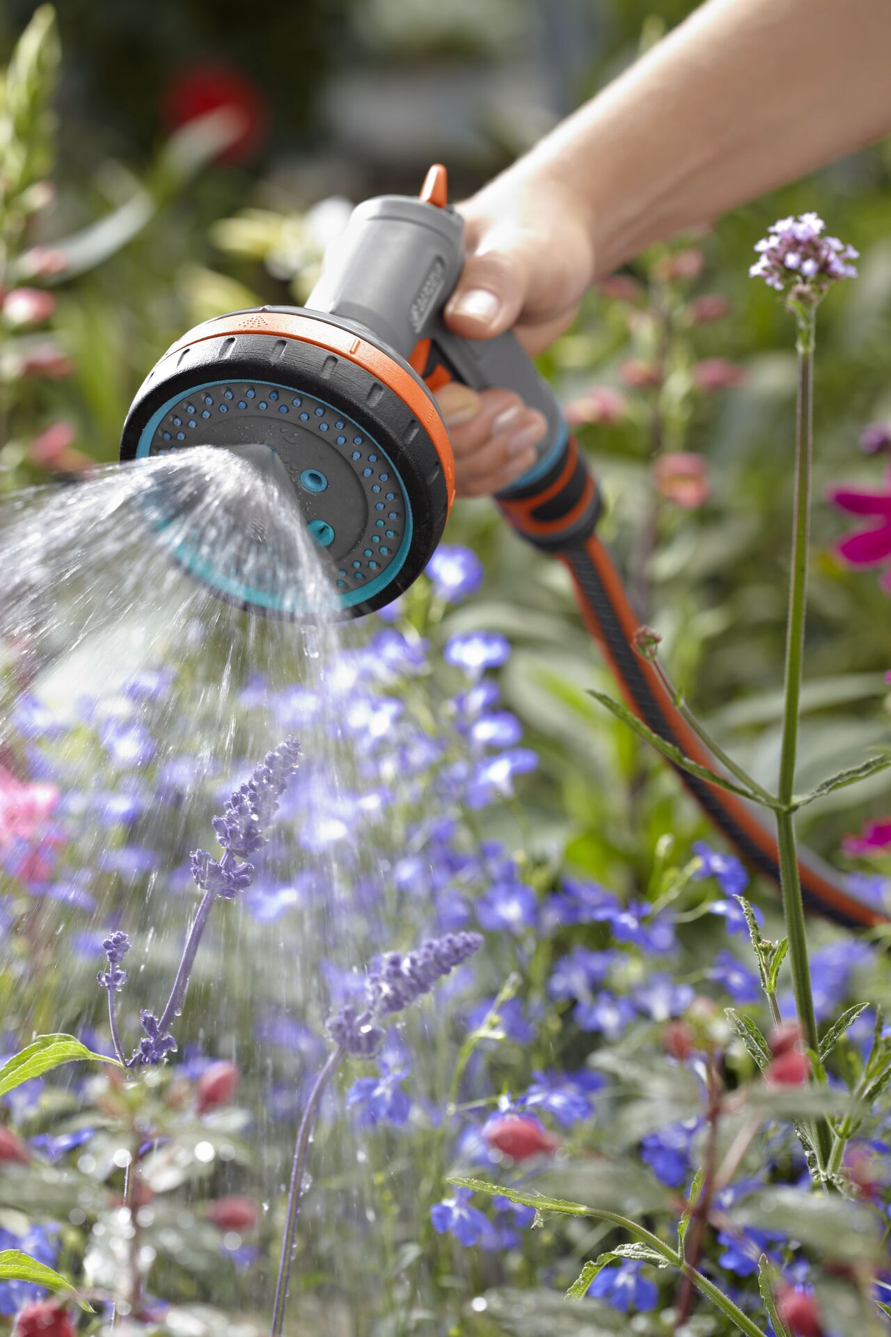 Comfort Multibrause bei leitermann.de günstig kaufen Comfort Multibrause