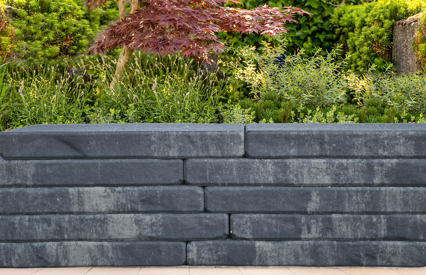 Mauerstein Joacaba, 60x20x7cm