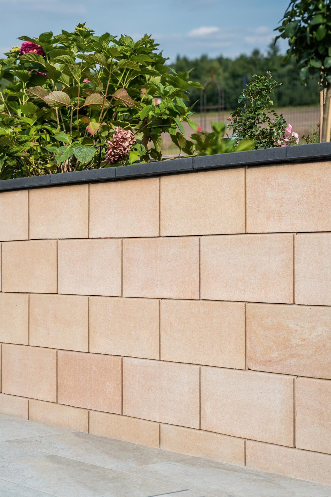 Schalungsstein Cono, 50x24x25cm