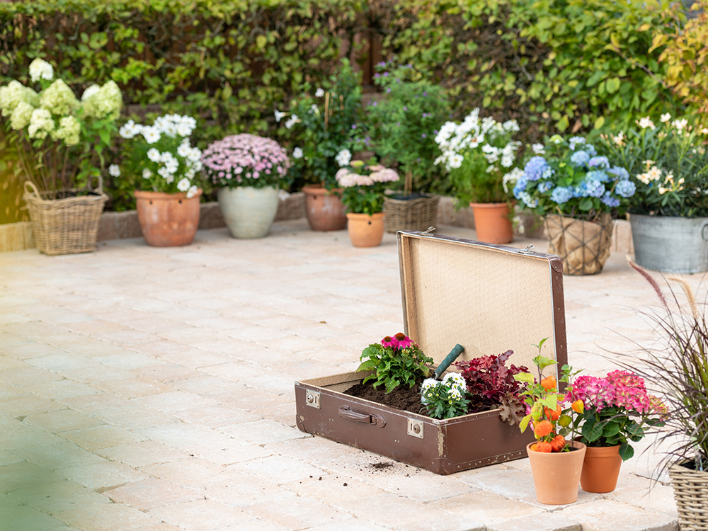 Pflasterstein Antik, gekantet bei leitermann.de günstig kaufen Pflasterstein Antik, gekantet