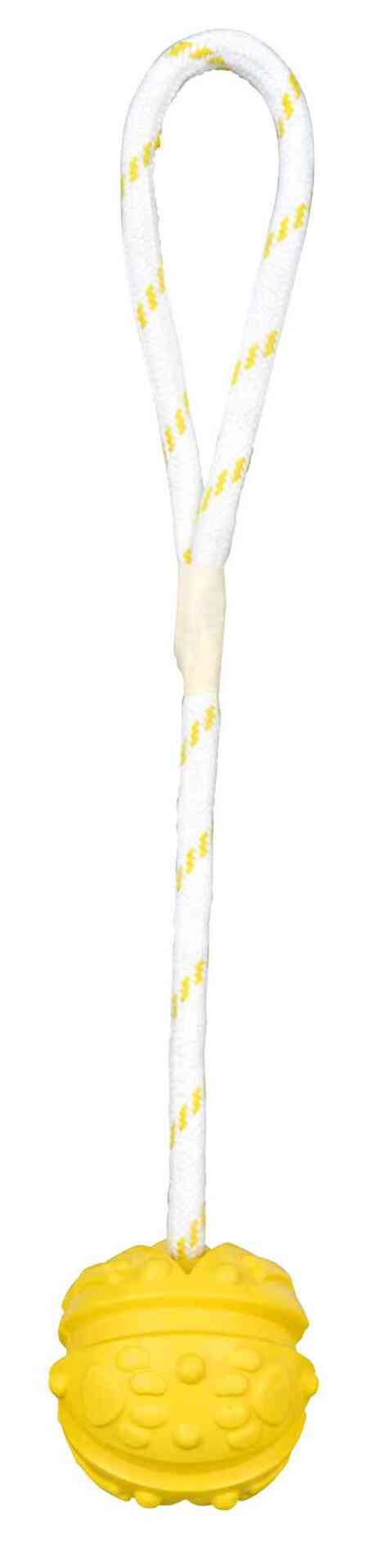 Aqua Toy Ball am Seil