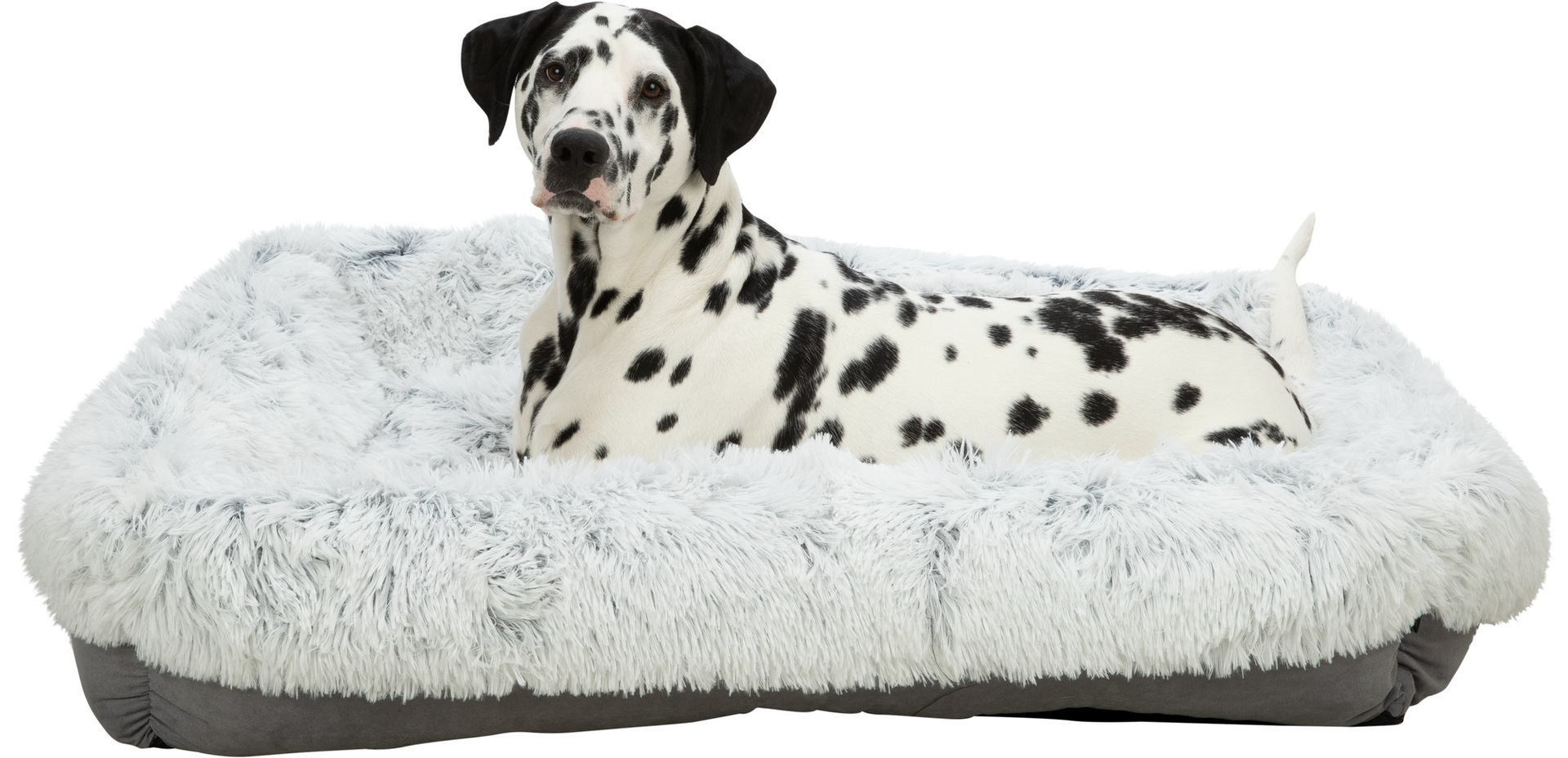 Bett Harvey bei leitermann.de günstig kaufen Bett Harvey