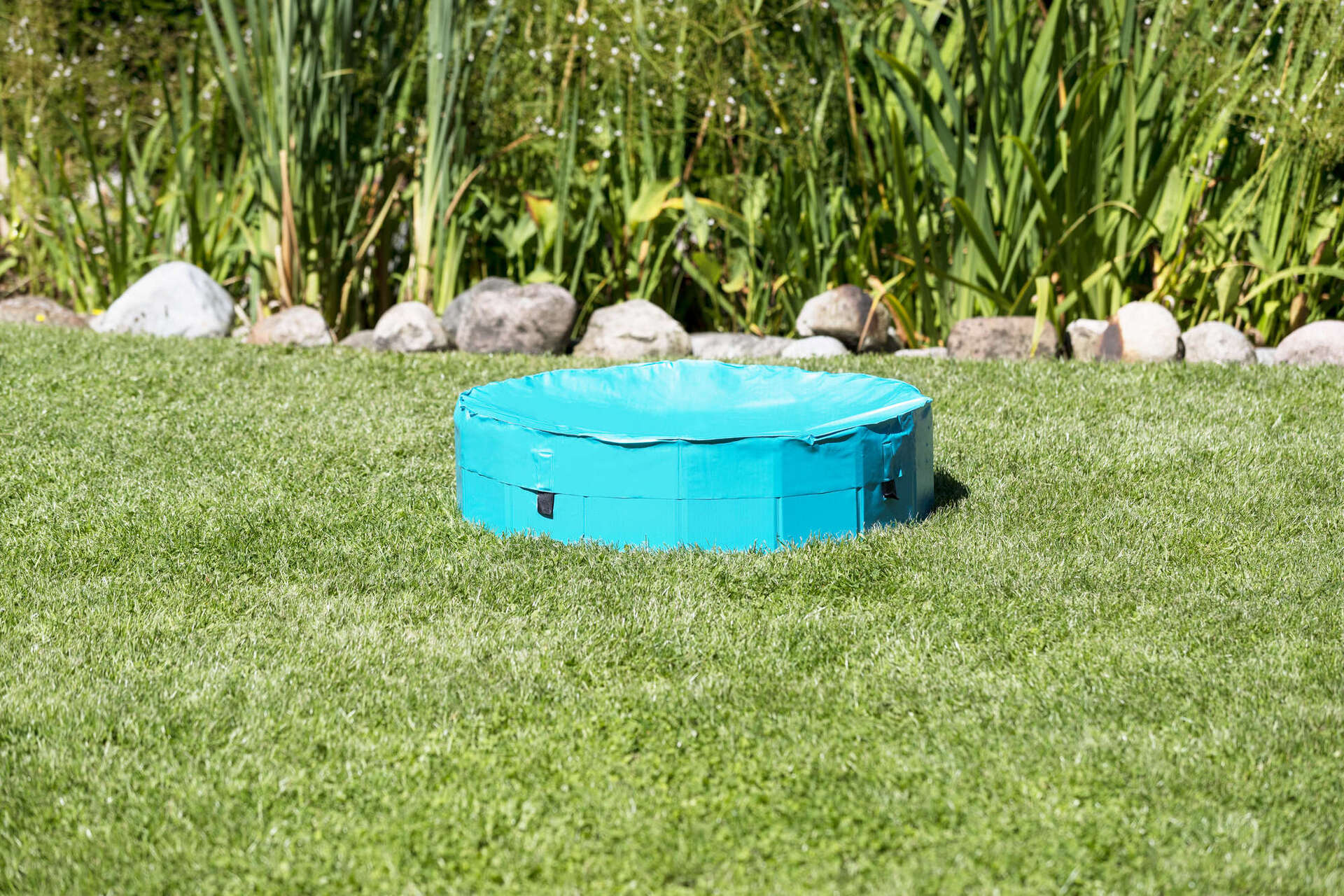 Hundepool bei leitermann.de günstig kaufen Hundepool