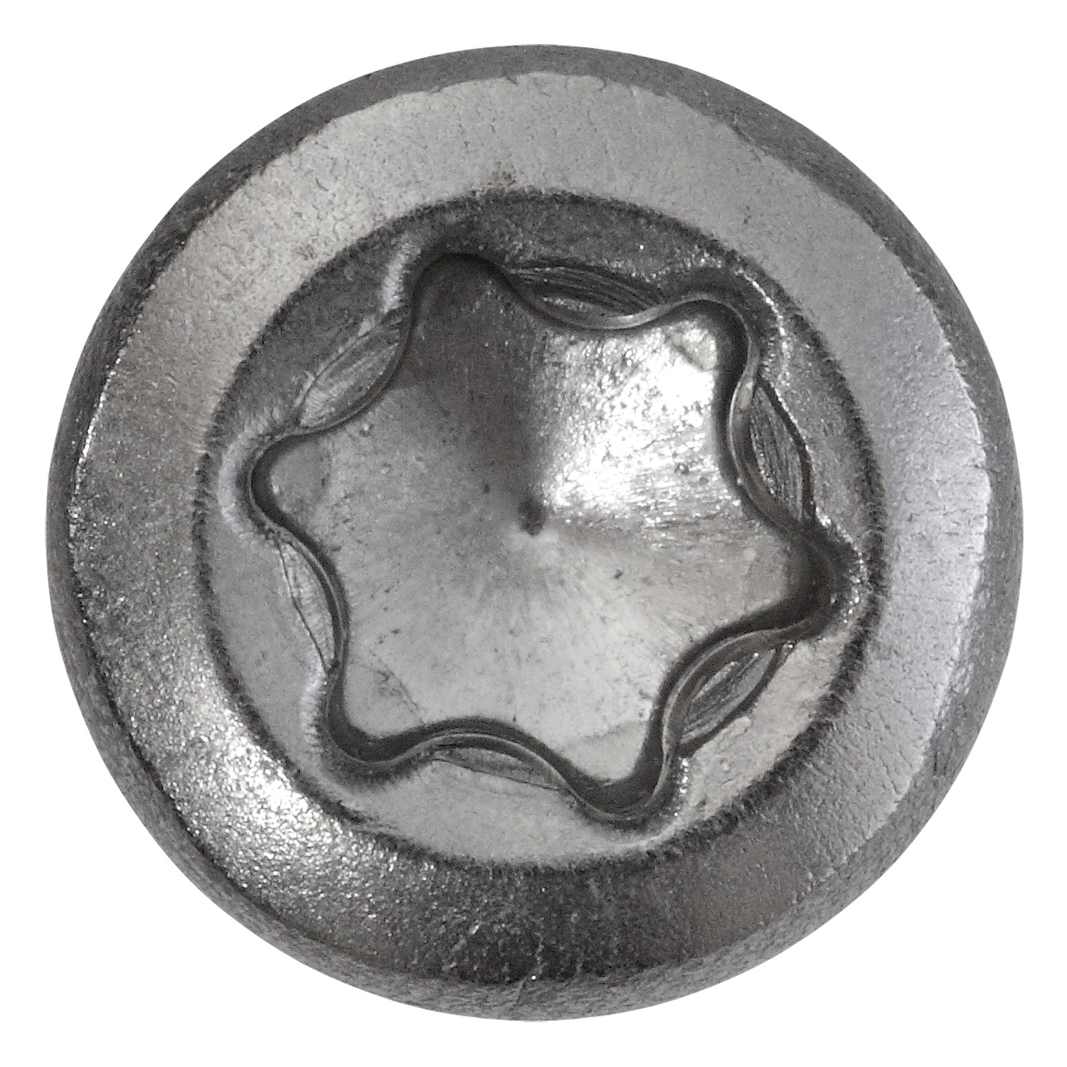 Terrassenschraube A2 mit Bit bei leitermann.de günstig kaufen Terrassenschraube A2 mit Bit