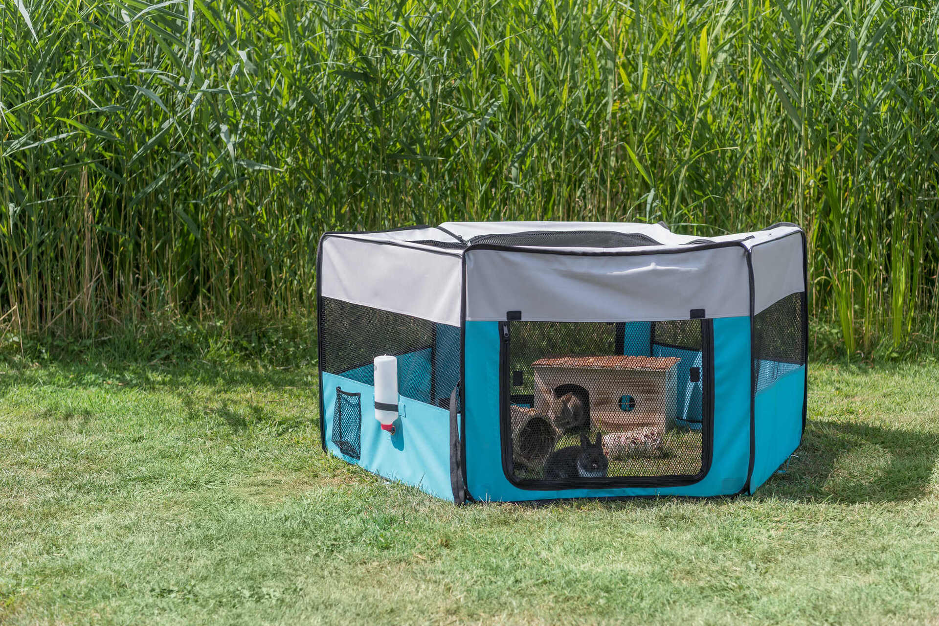 Welpenfreilauf bei leitermann.de günstig kaufen Welpenfreilauf