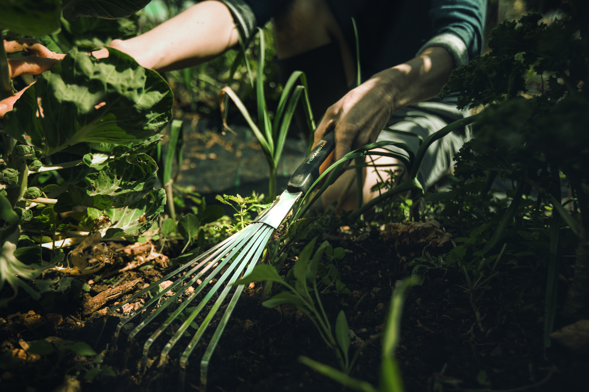 Xact Hand-Fächerbesen