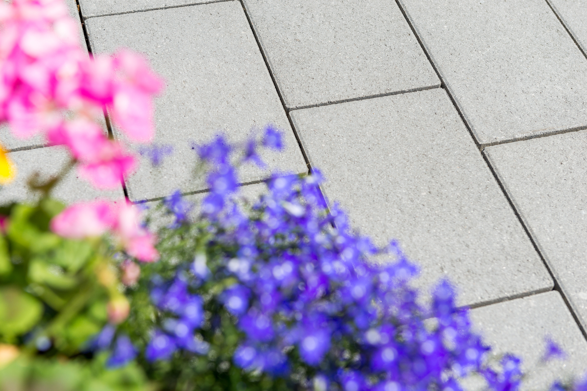 Pflasterstein Ensenada