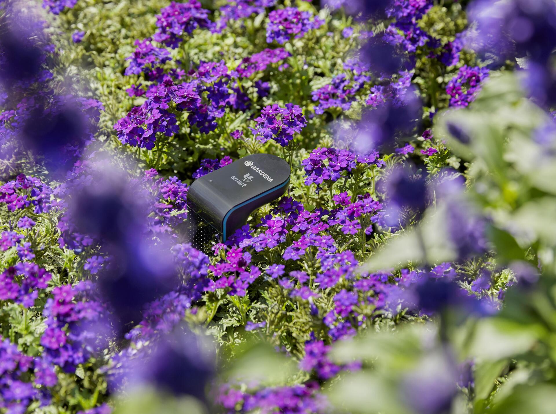 smart Sensor bei leitermann.de günstig kaufen smart Sensor