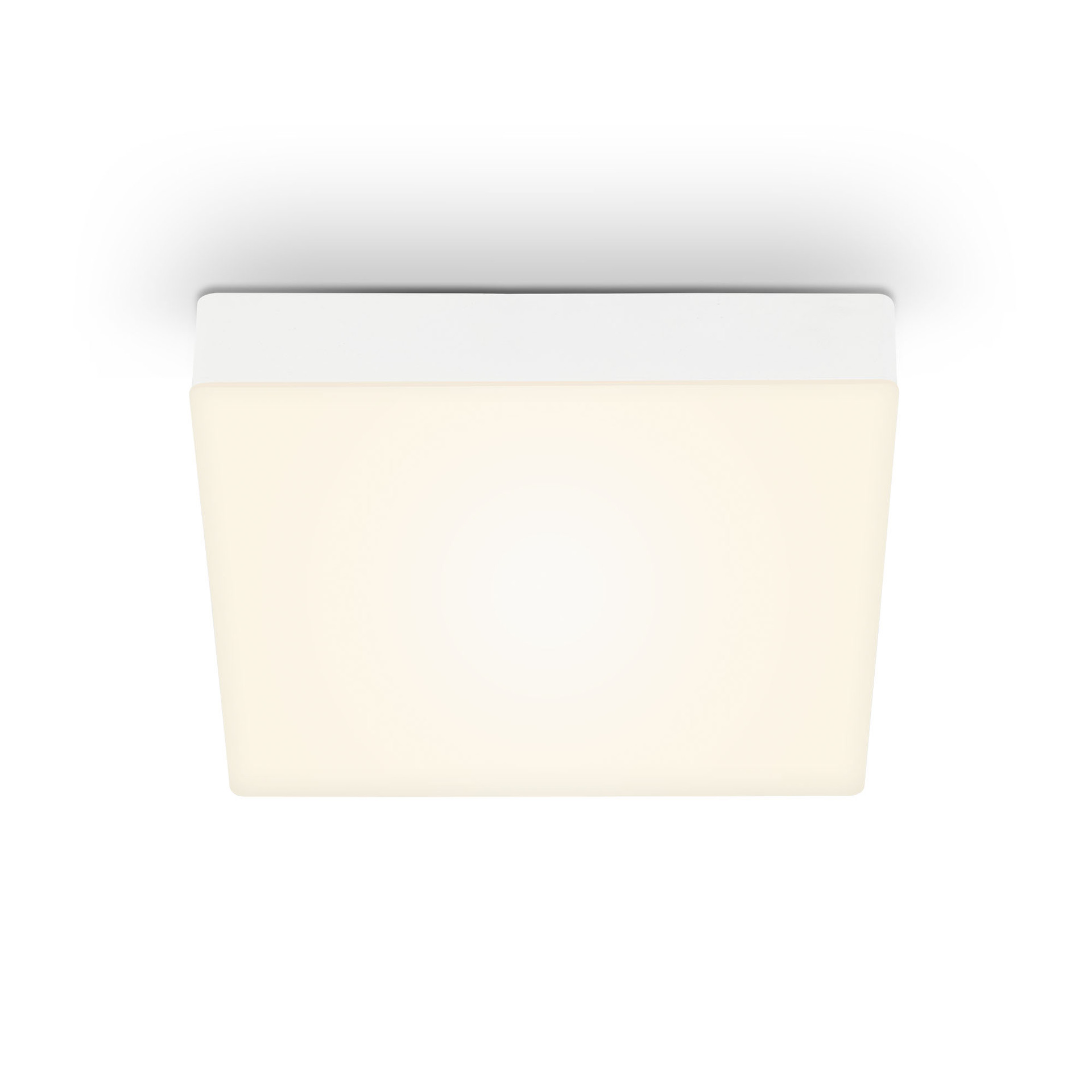 FLAME LED Aufbauleuchte bei leitermann.de günstig kaufen FLAME LED Aufbauleuchte