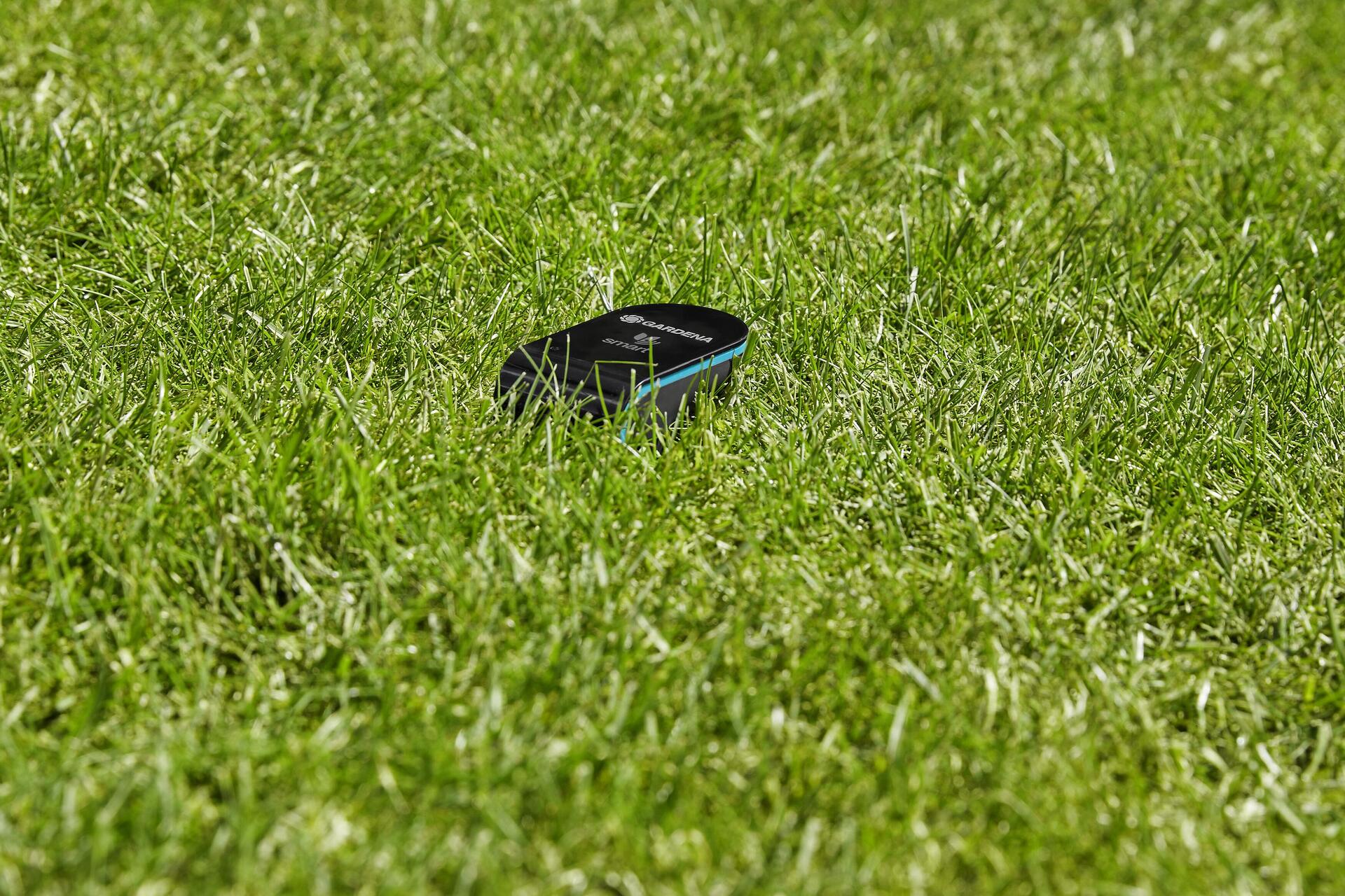 smart Sensor bei leitermann.de günstig kaufen smart Sensor