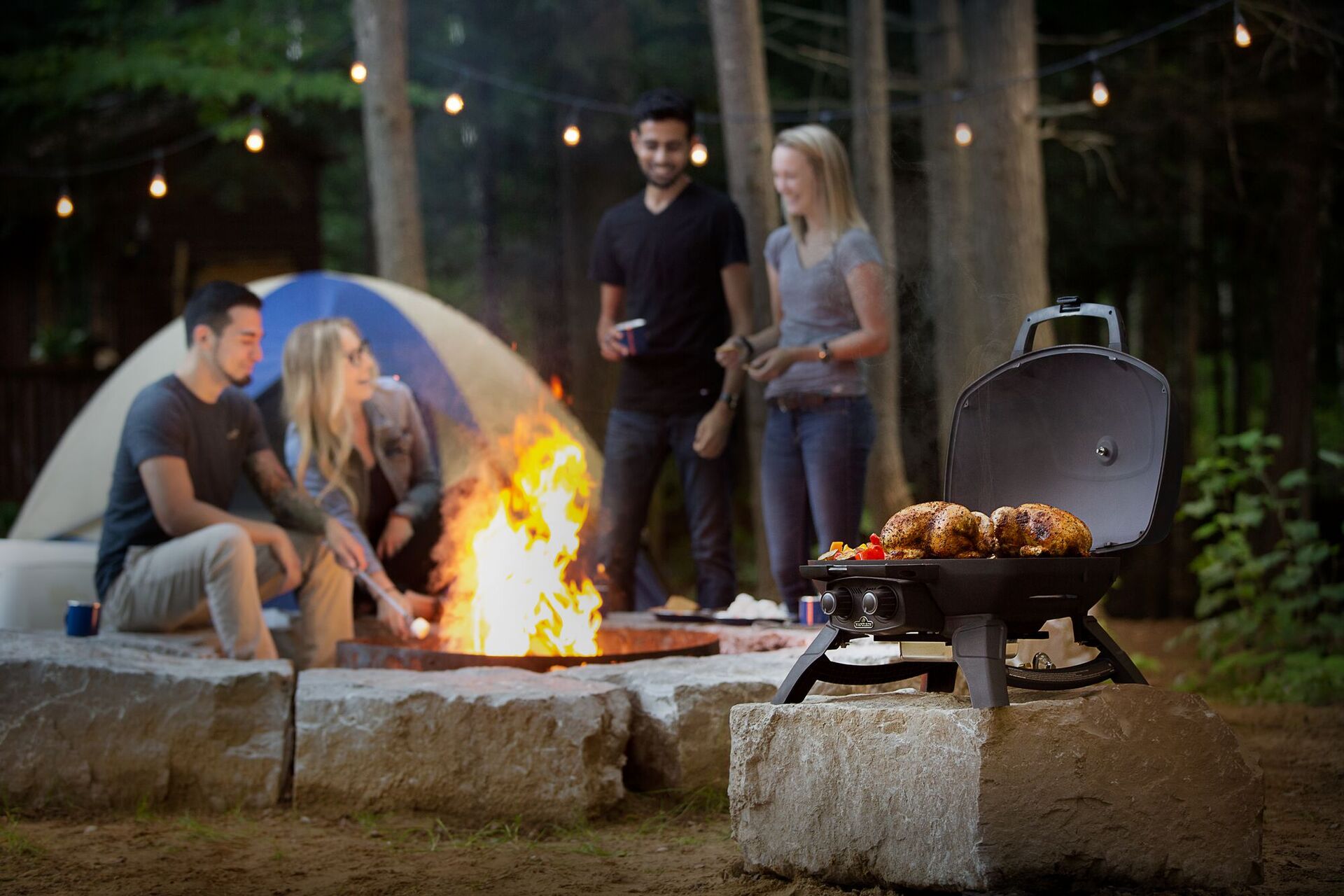 Gasgrill TravelQ 285 bei leitermann.de günstig kaufen Gasgrill TravelQ 285